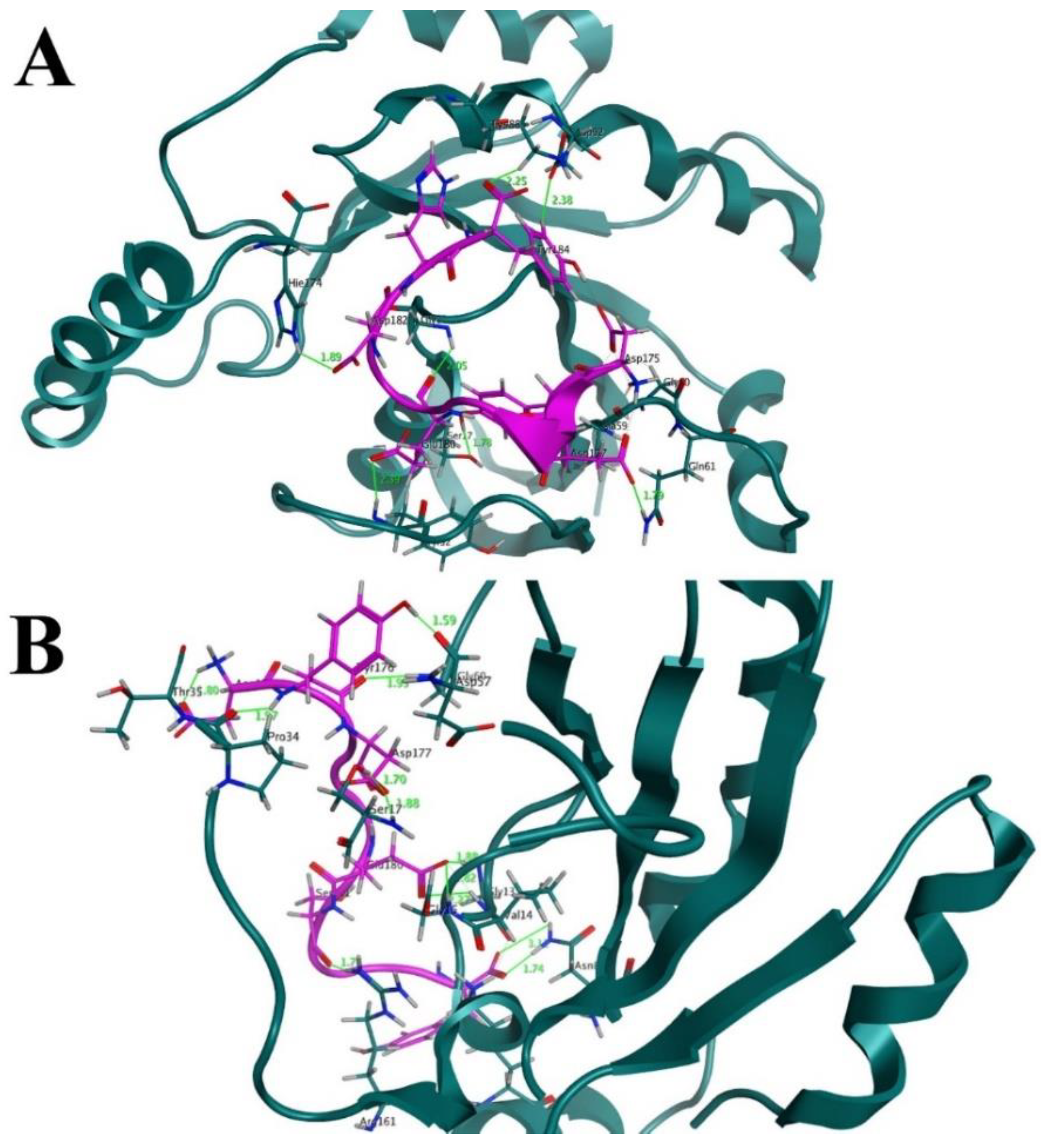 Cancers 14 04884 g005 Cancers 14 04884 g005