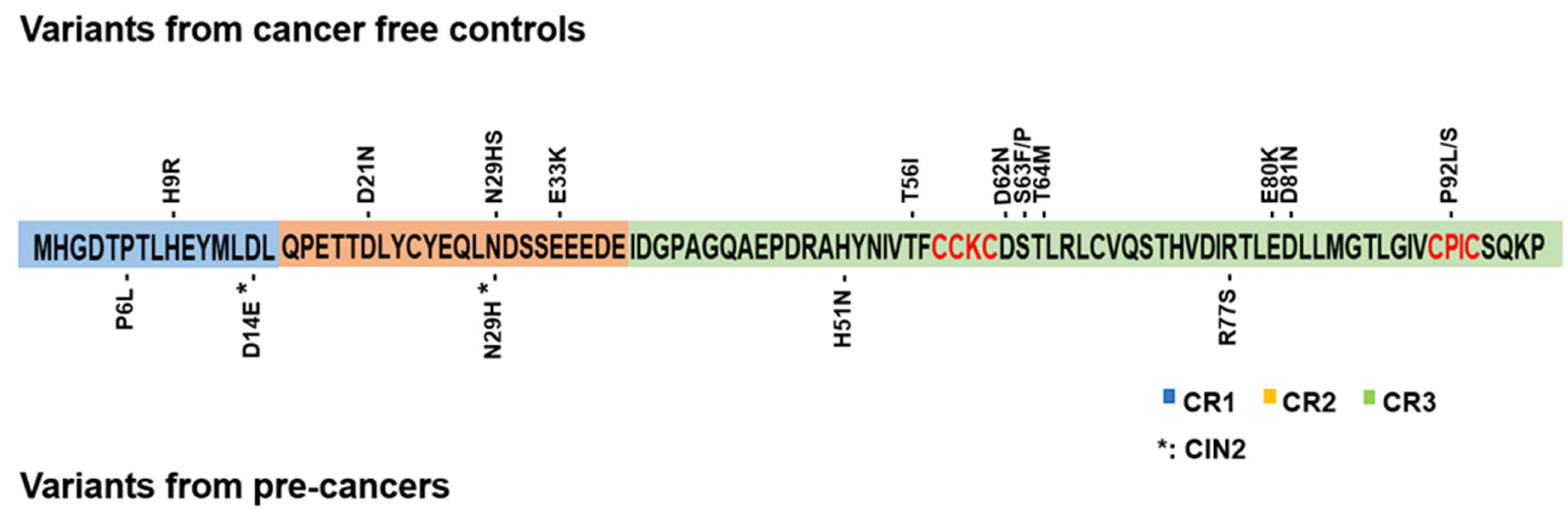 Cancers Free Full Text HPV16 E7 Nucleotide Variants Found in