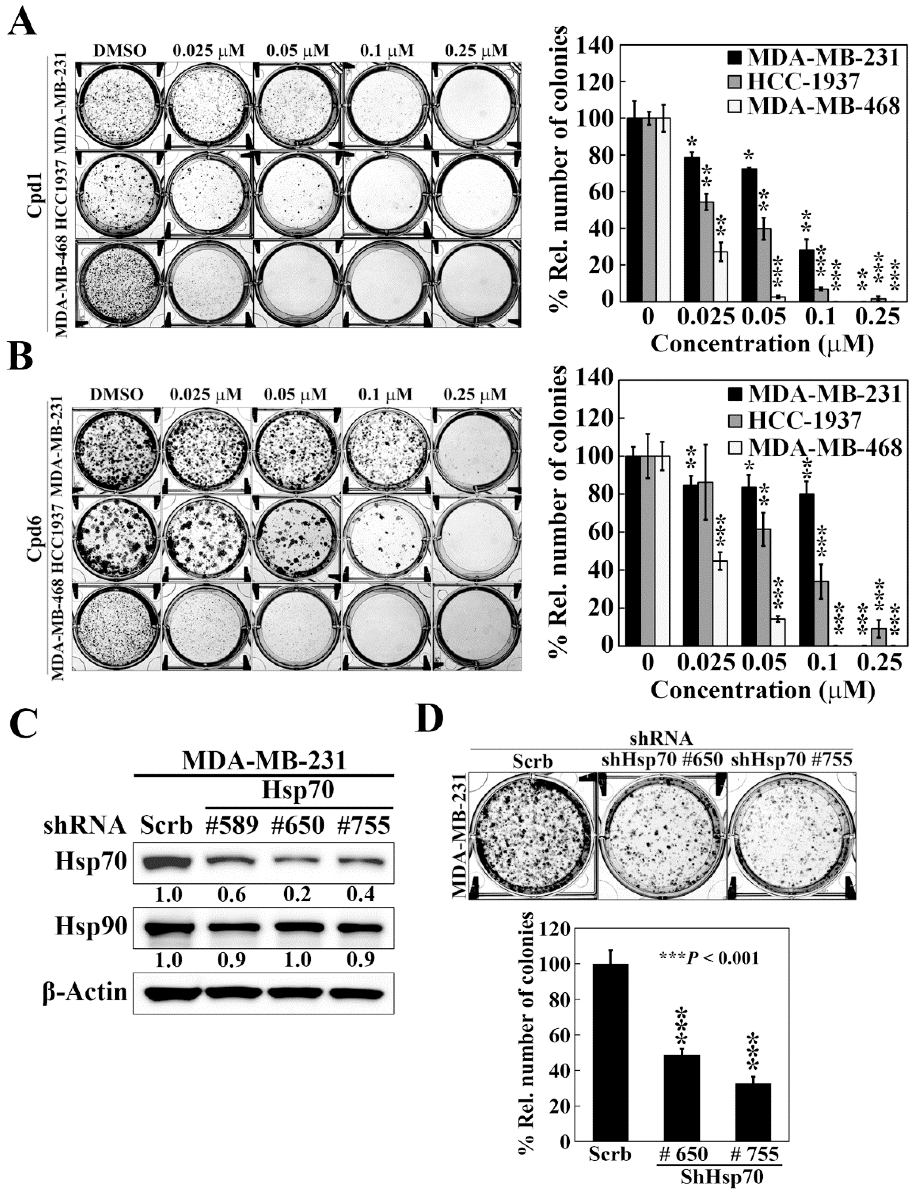 Cancers 14 04898 g003