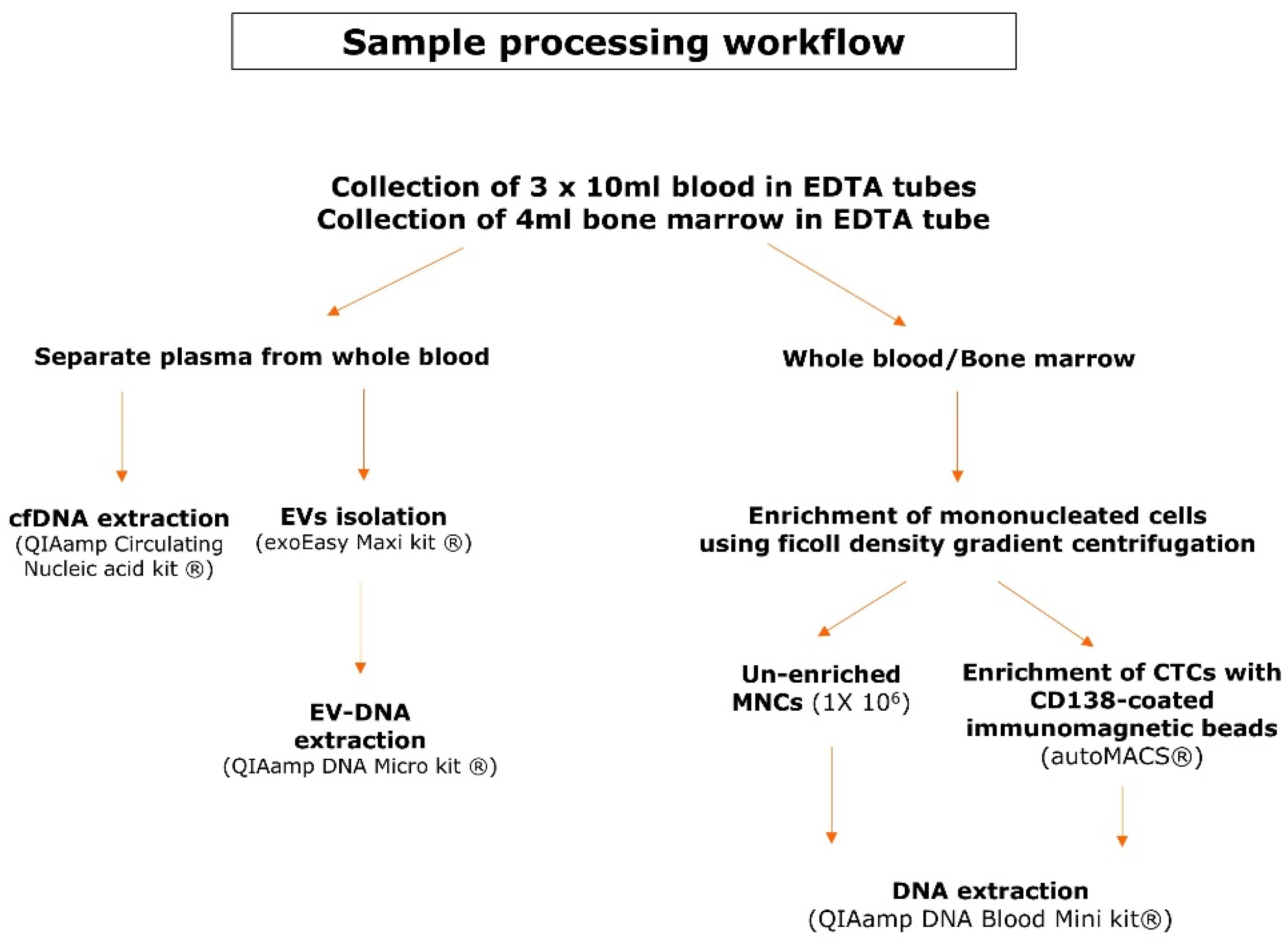Cancers 14 04901 g001 Cancers 14 04901 g001