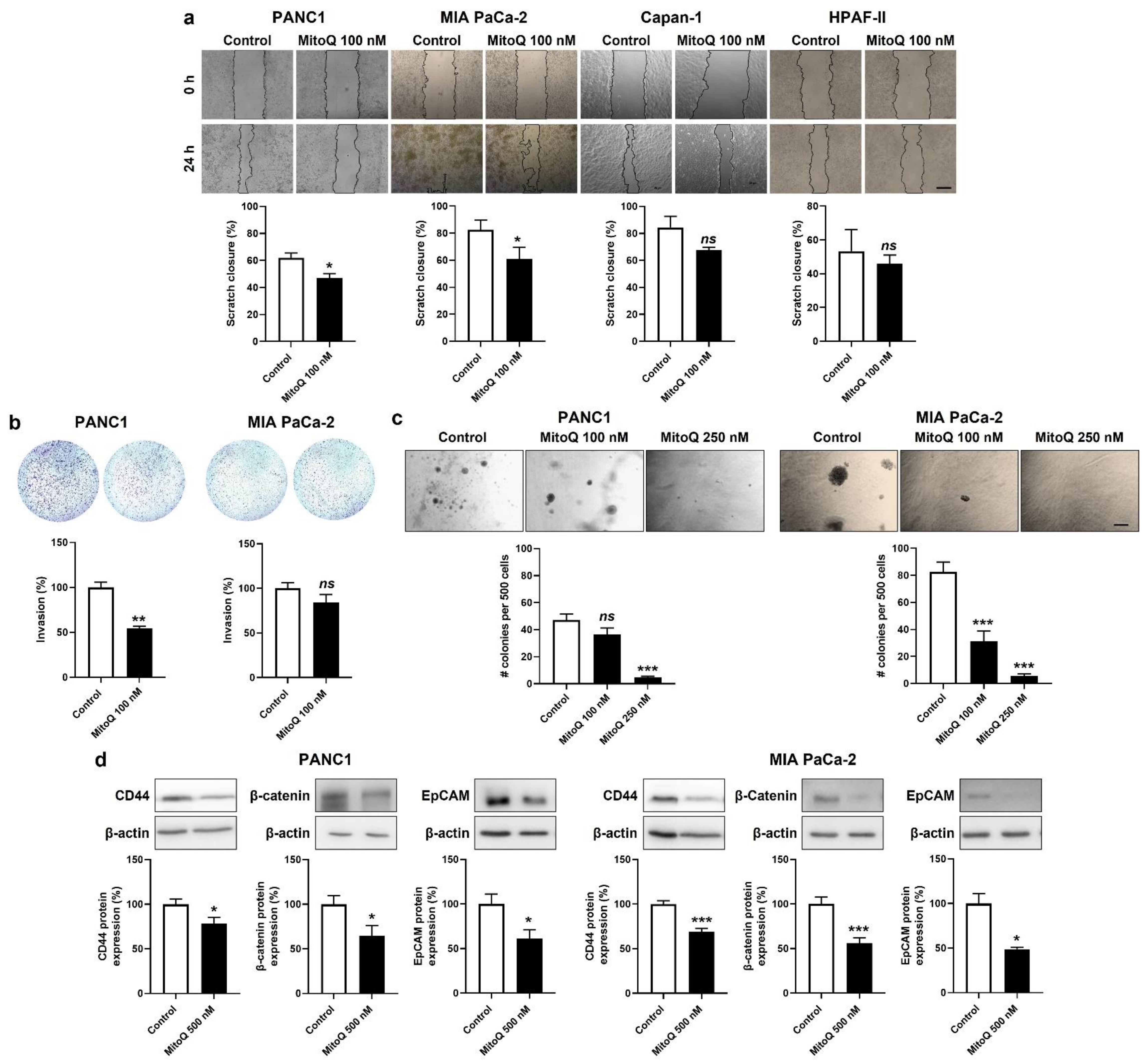 Cancers 14 04918 g006