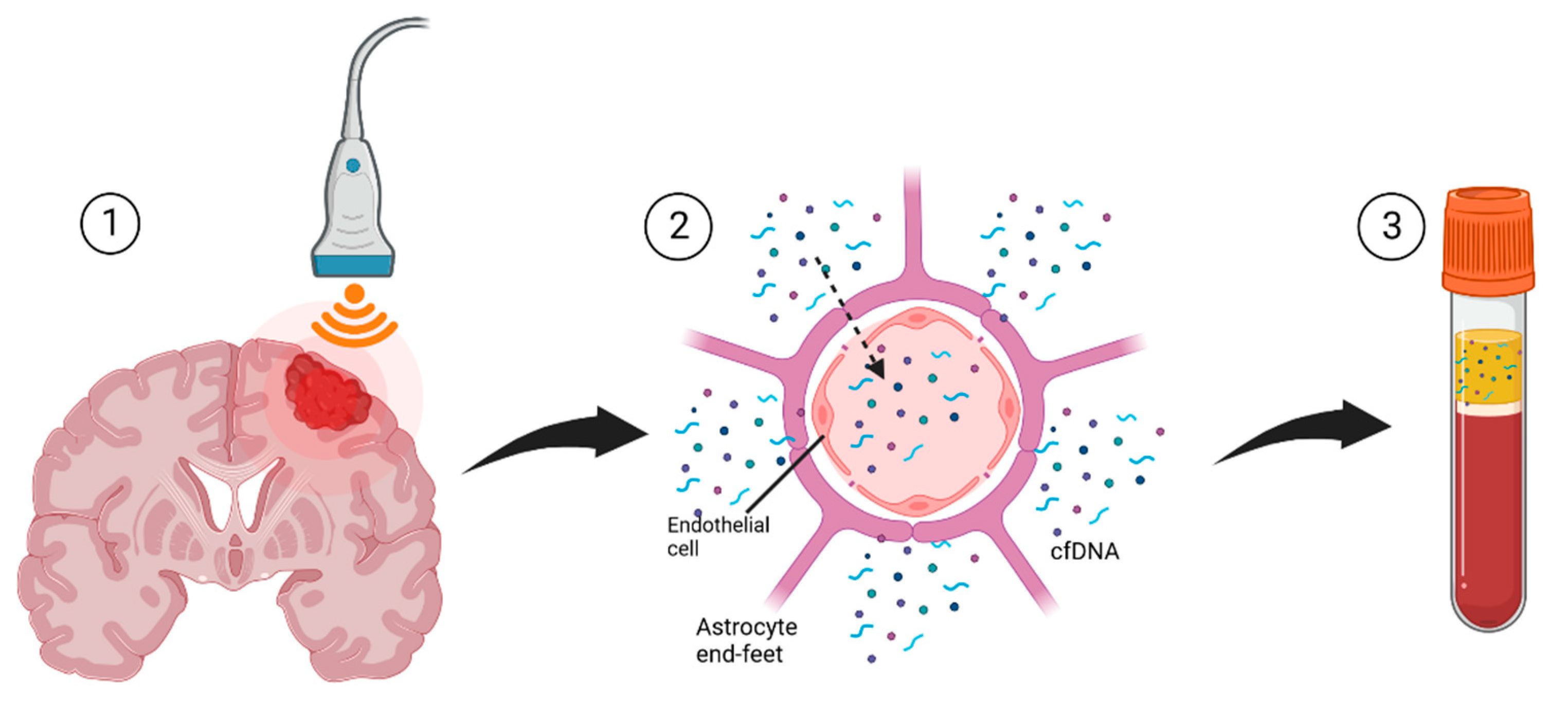 Cancers 14 04920 g003