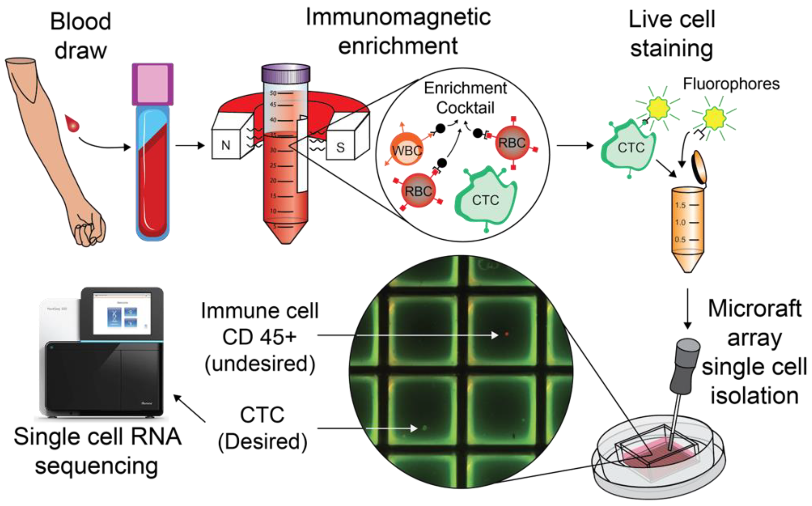 Cancers 14 04921 g001 Cancers 14 04921 g001