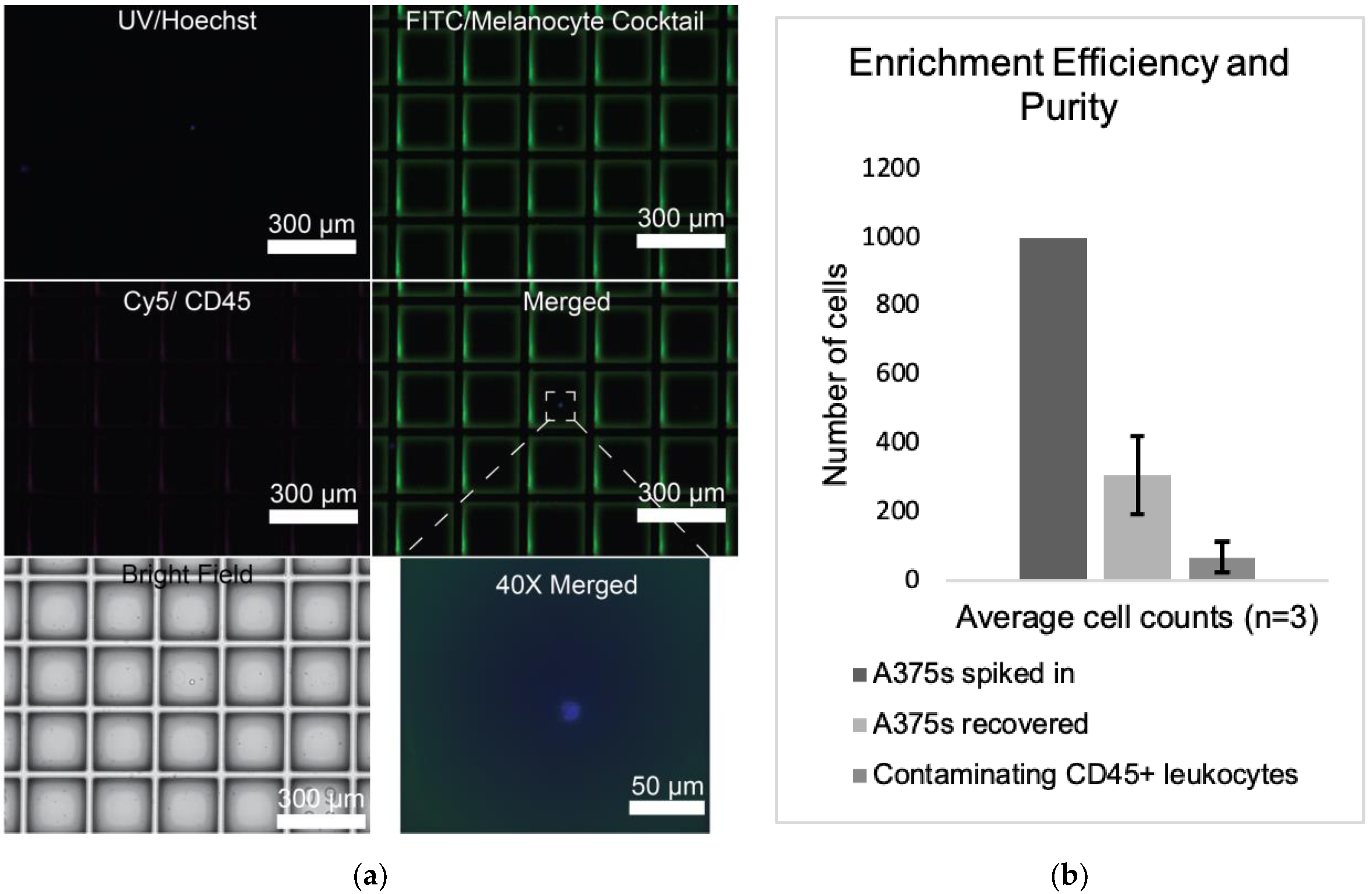 Cancers 14 04921 g003 Cancers 14 04921 g003
