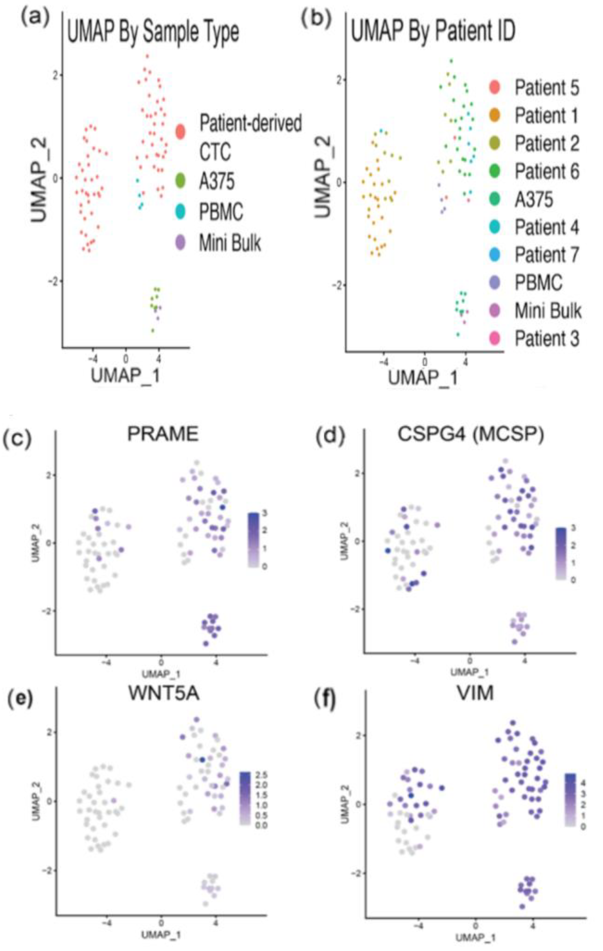 Cancers 14 04921 g006 Cancers 14 04921 g006
