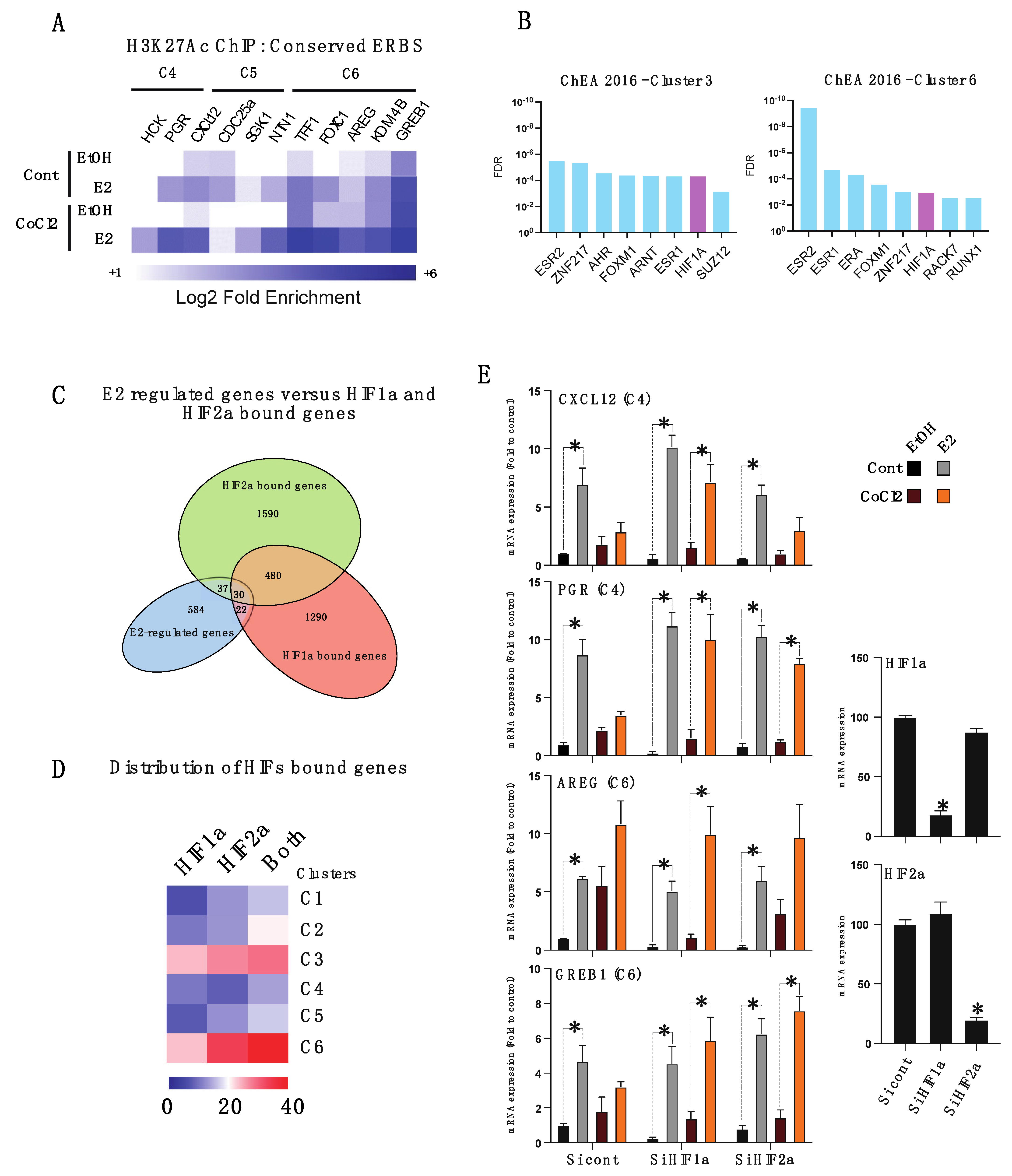 Cancers 14 04934 g004 Cancers 14 04934 g004