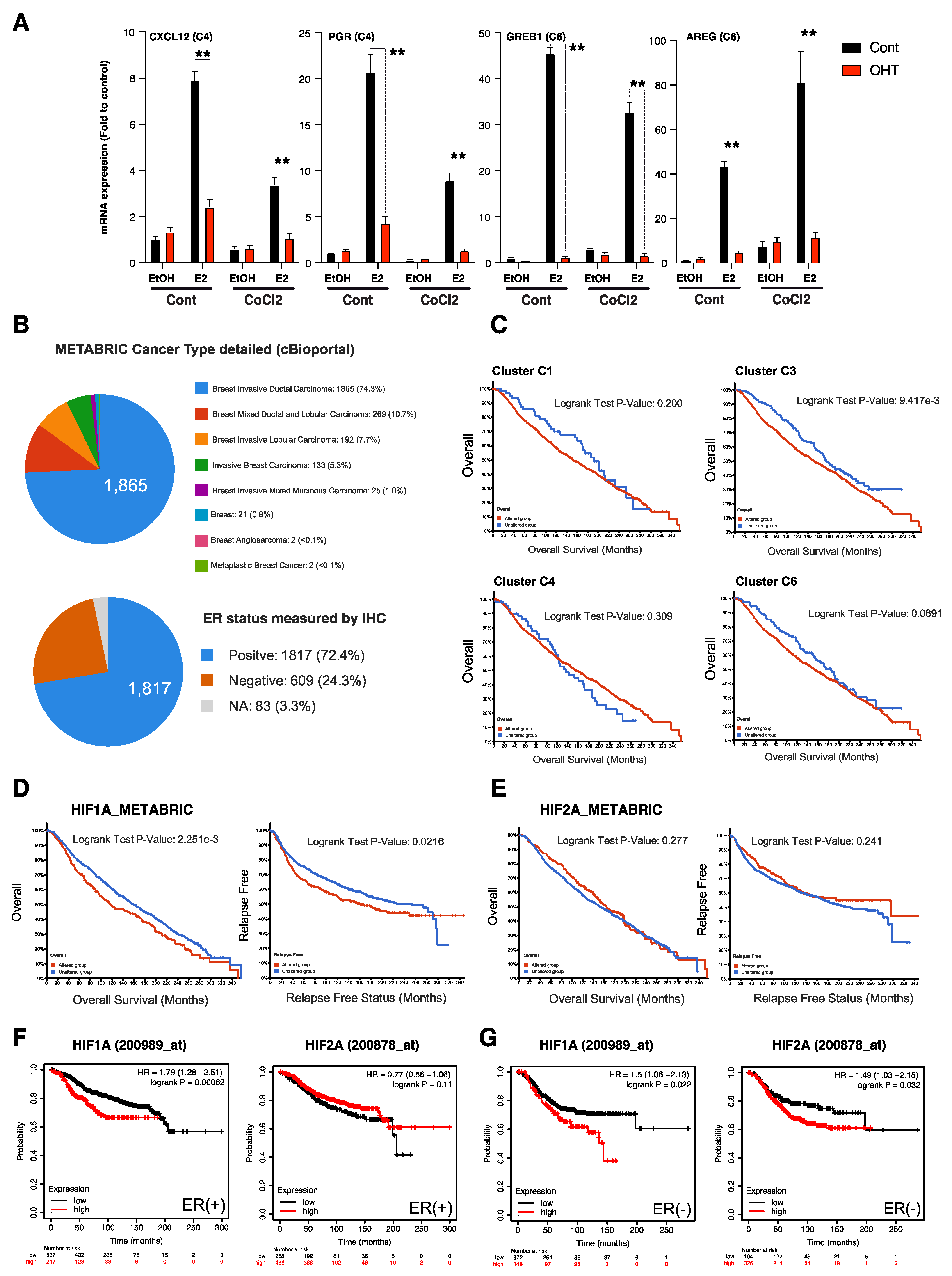 Cancers 14 04934 g005 Cancers 14 04934 g005