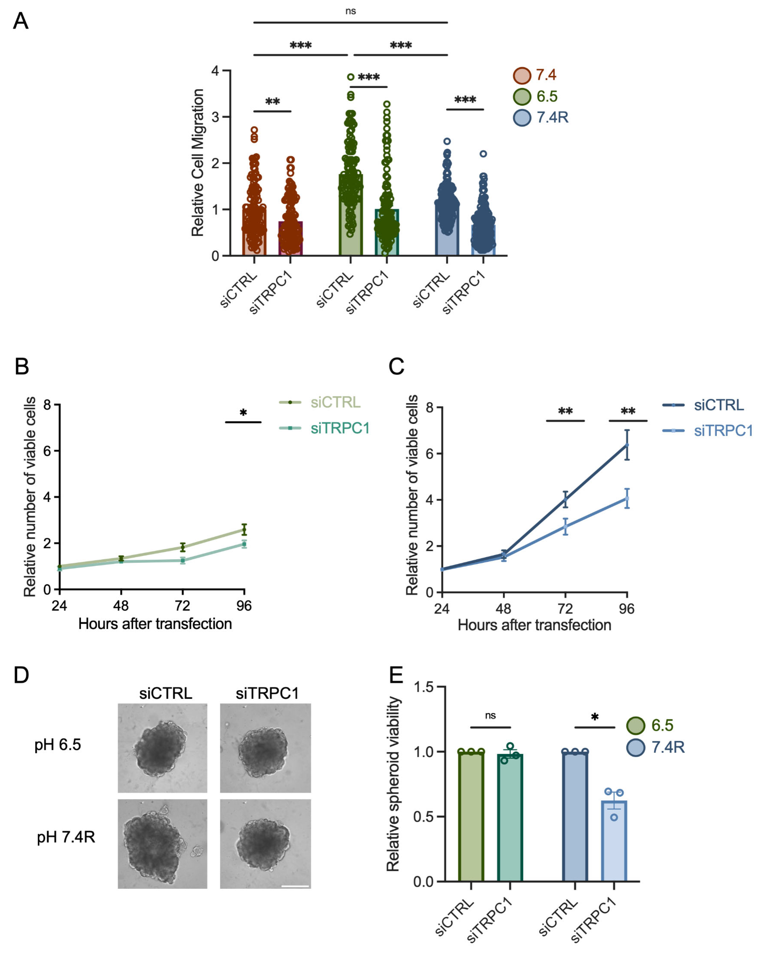 Cancers 14 04946 g003 Cancers 14 04946 g003