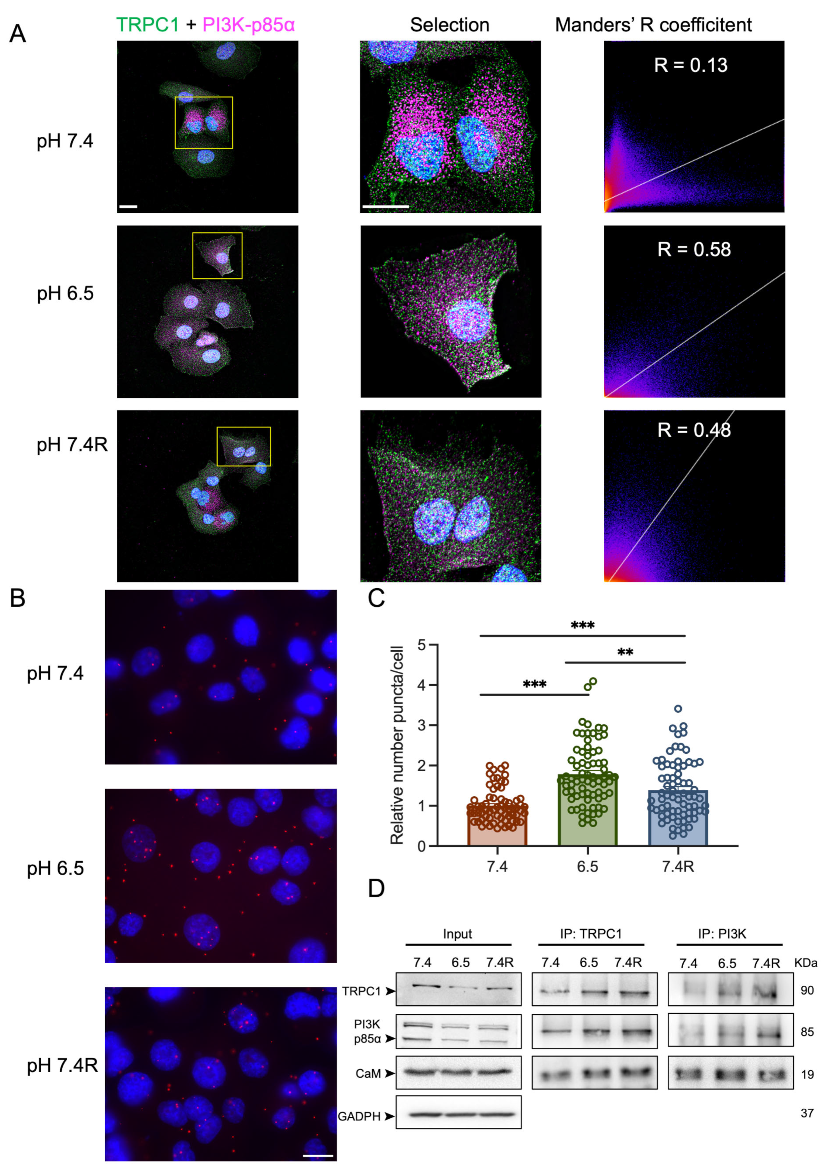 Cancers 14 04946 g006 Cancers 14 04946 g006