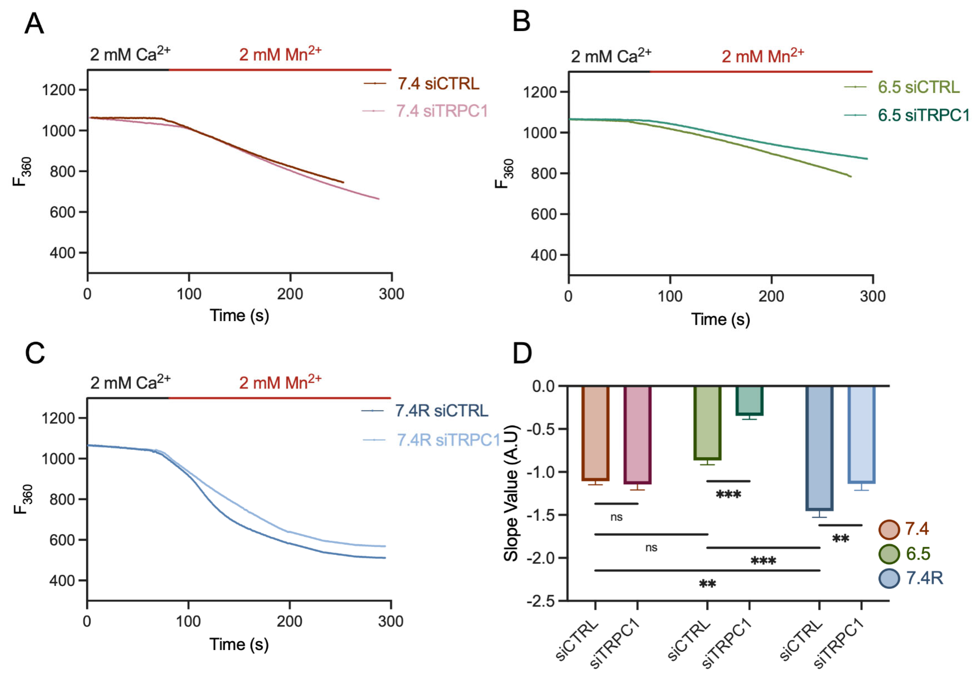 Cancers 14 04946 g009 Cancers 14 04946 g009