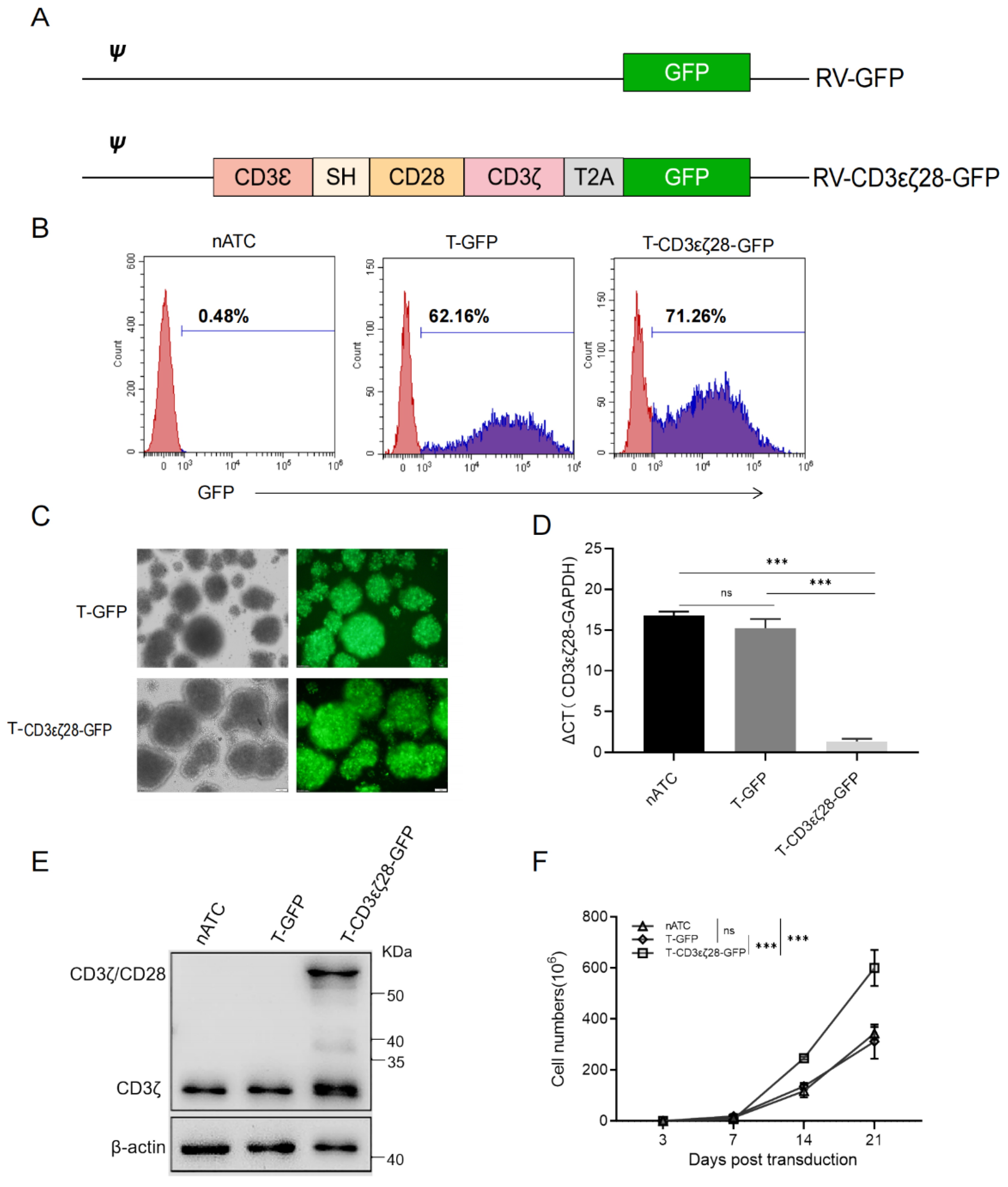 Cancers 14 04947 g001 Cancers 14 04947 g001