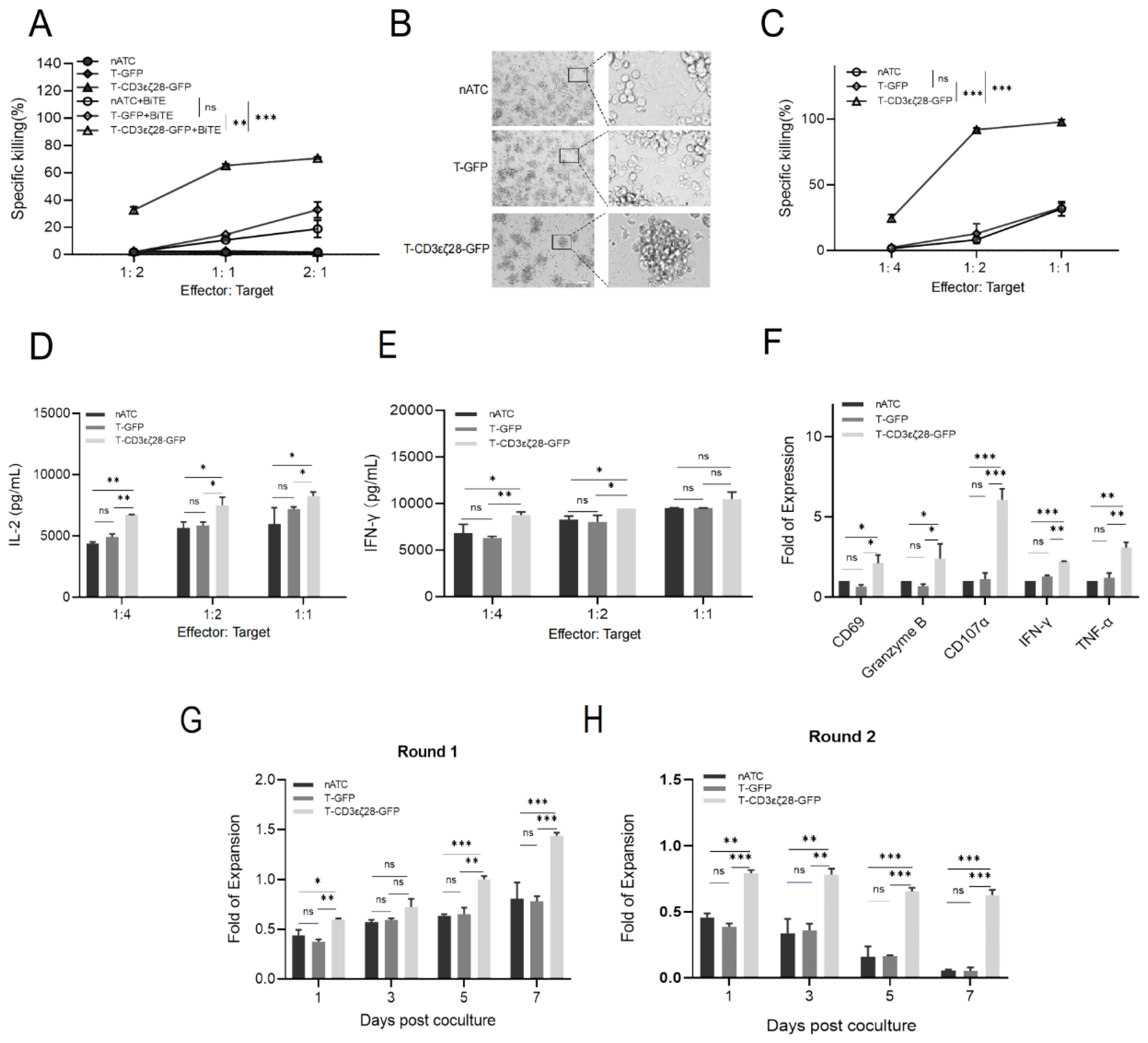 Cancers 14 04947 g002 Cancers 14 04947 g002