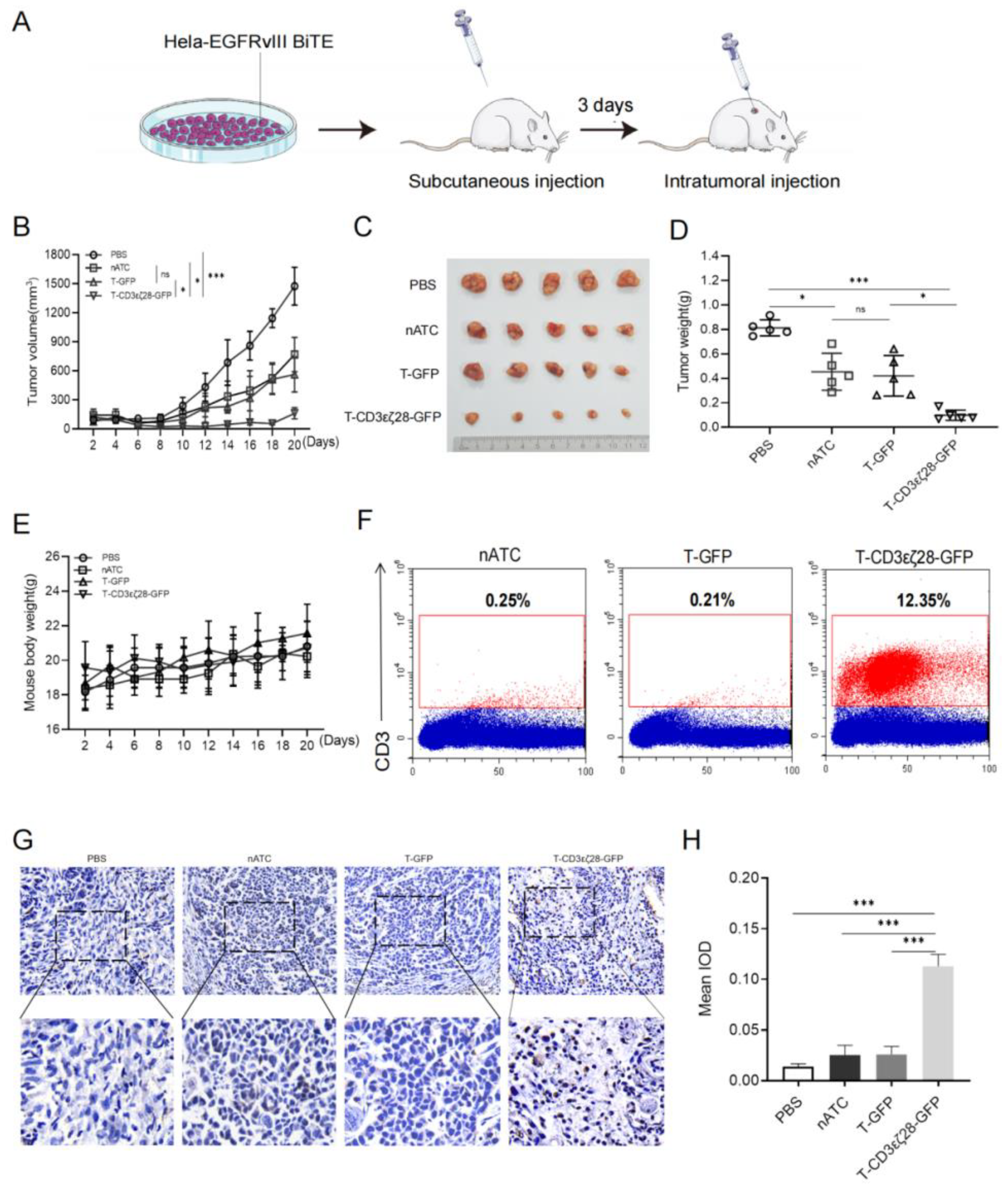 Cancers 14 04947 g003 Cancers 14 04947 g003