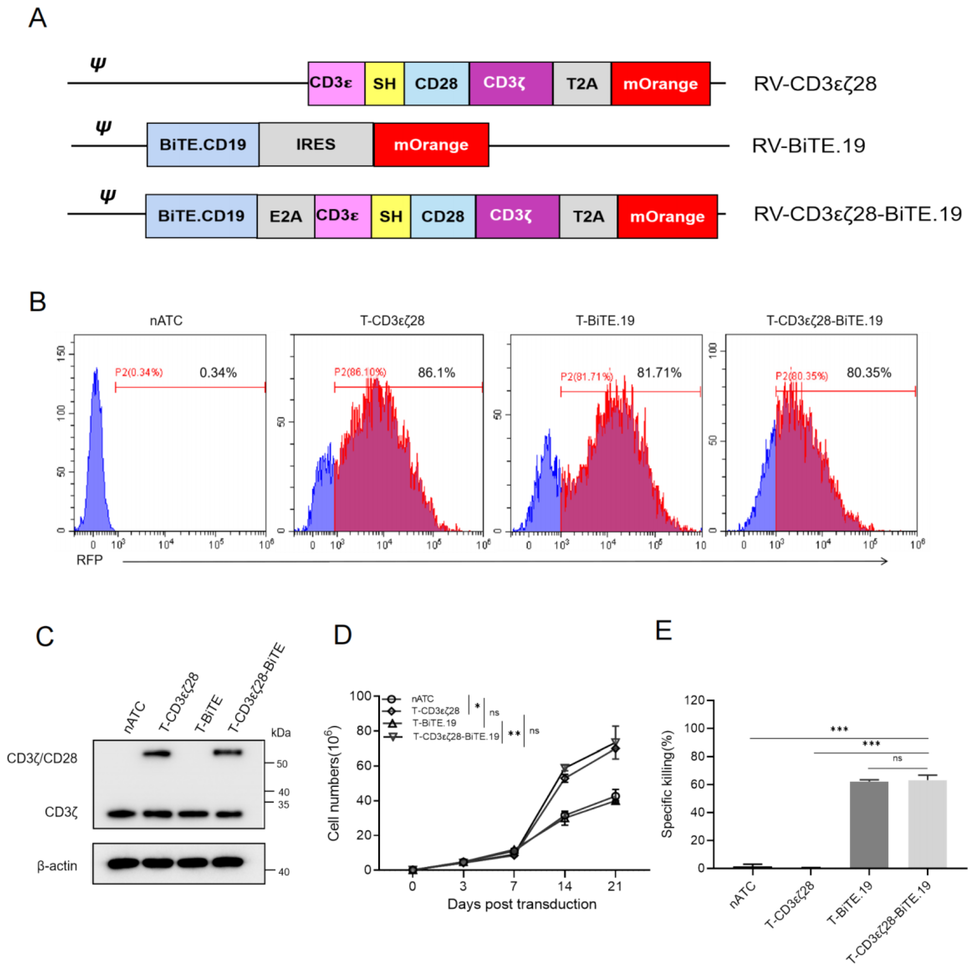 Cancers 14 04947 g004 Cancers 14 04947 g004