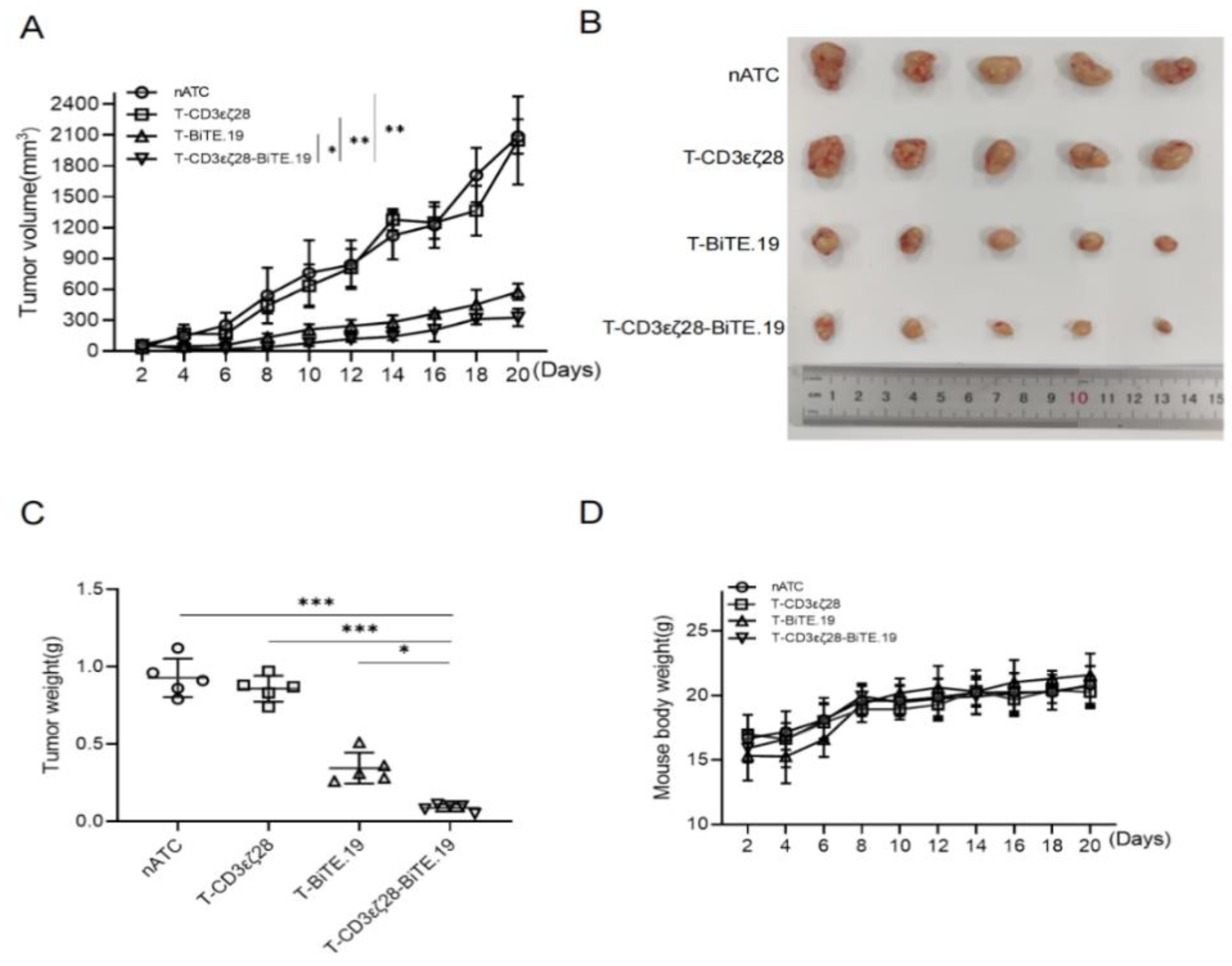 Cancers 14 04947 g006 Cancers 14 04947 g006