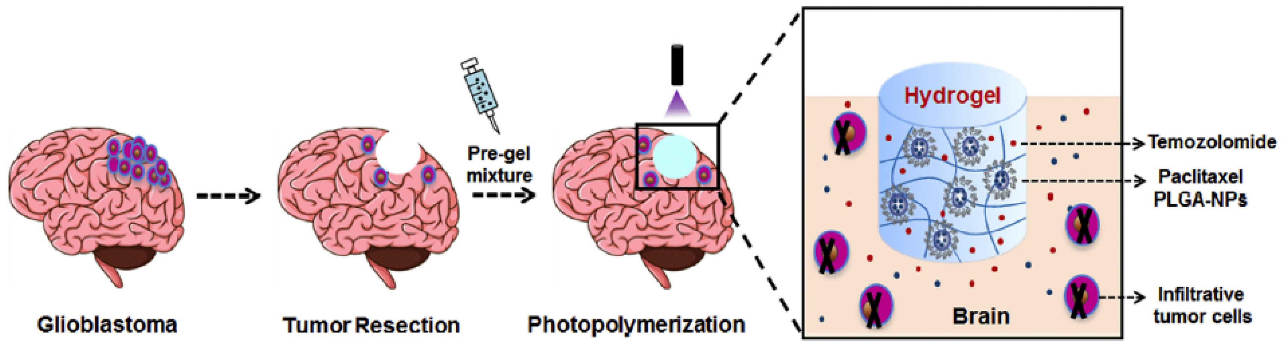 Cancers 14 04960 g002