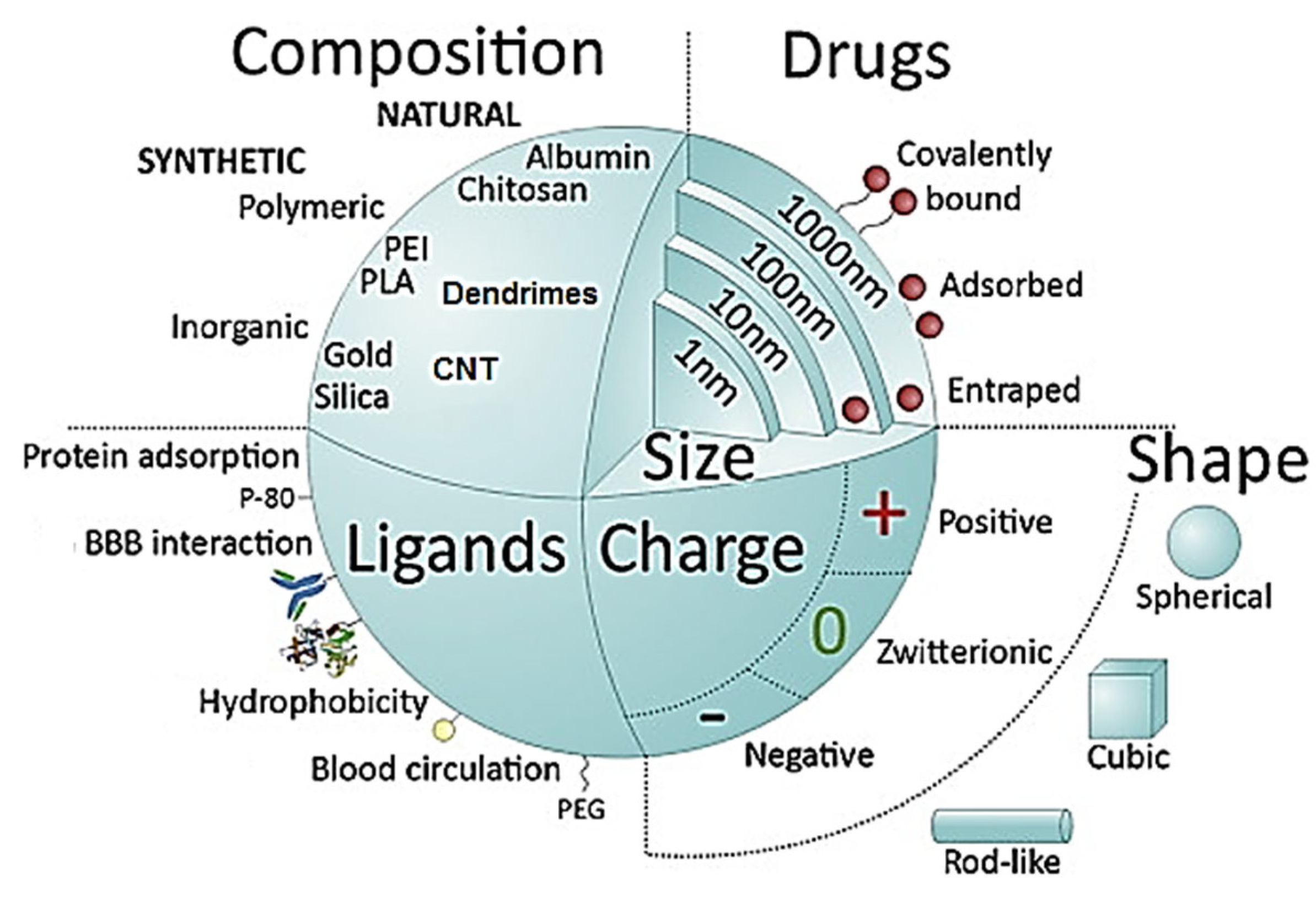 Cancers 14 04960 g003