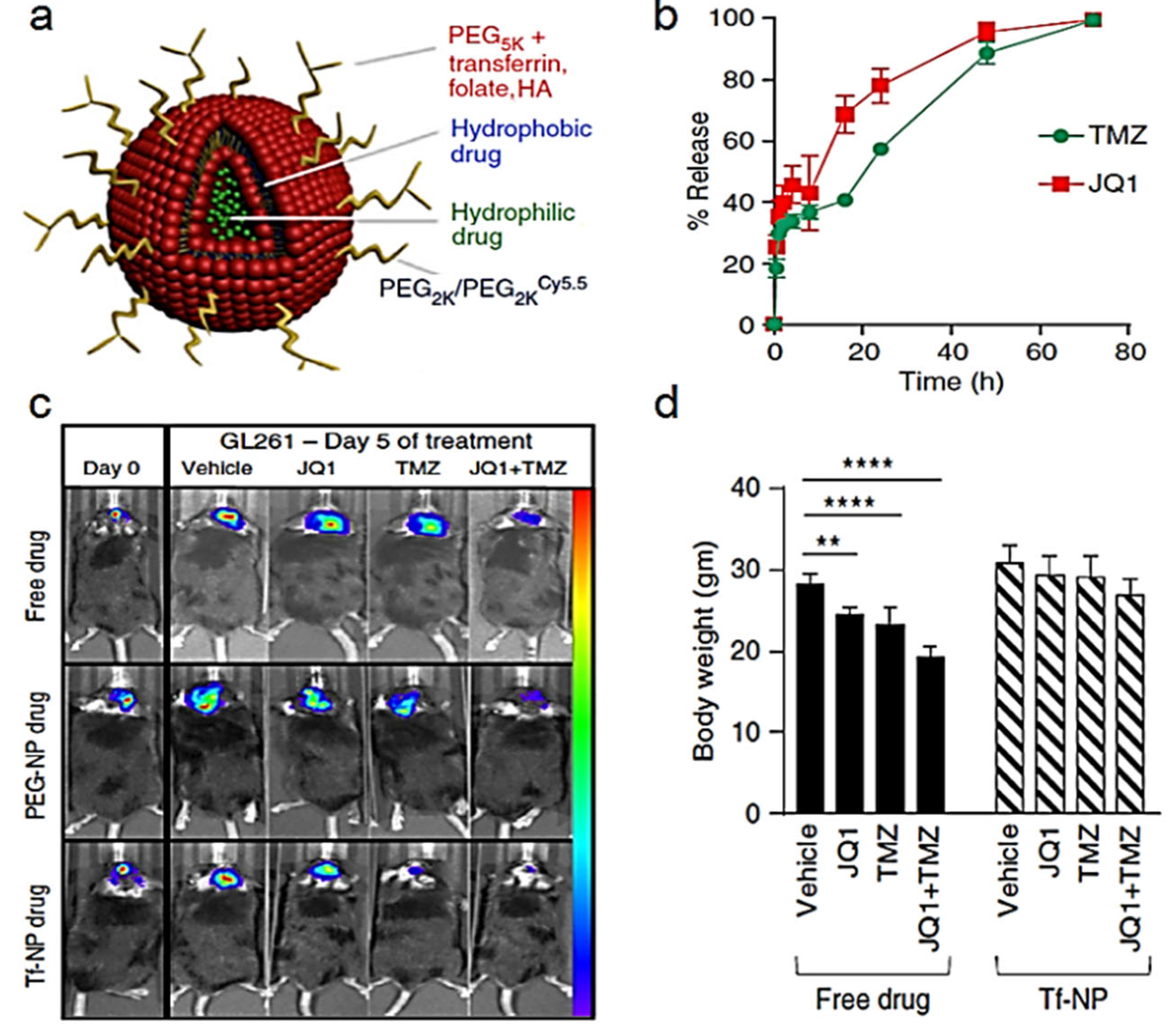 Cancers 14 04960 g005