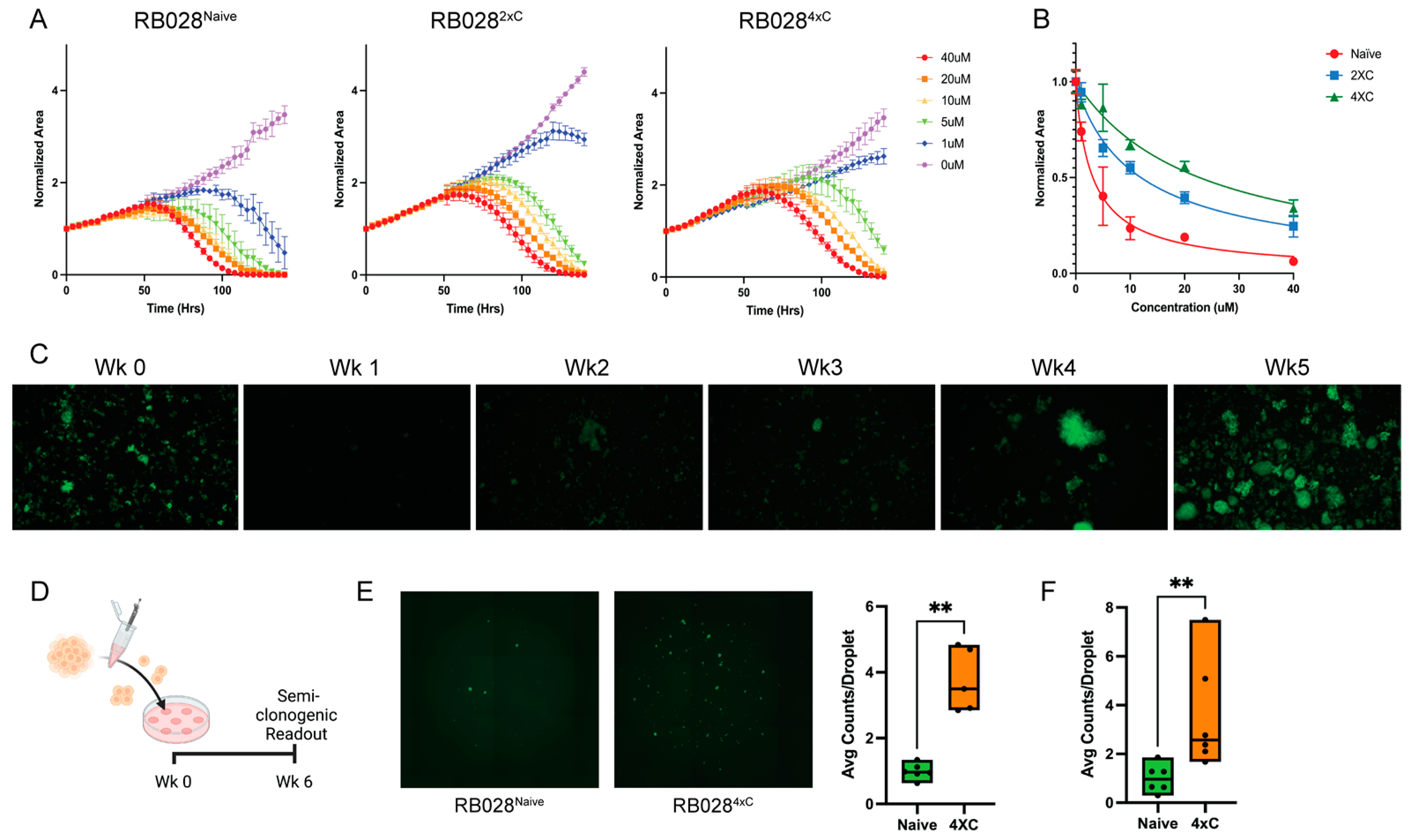 Cancers 14 04966 g001
