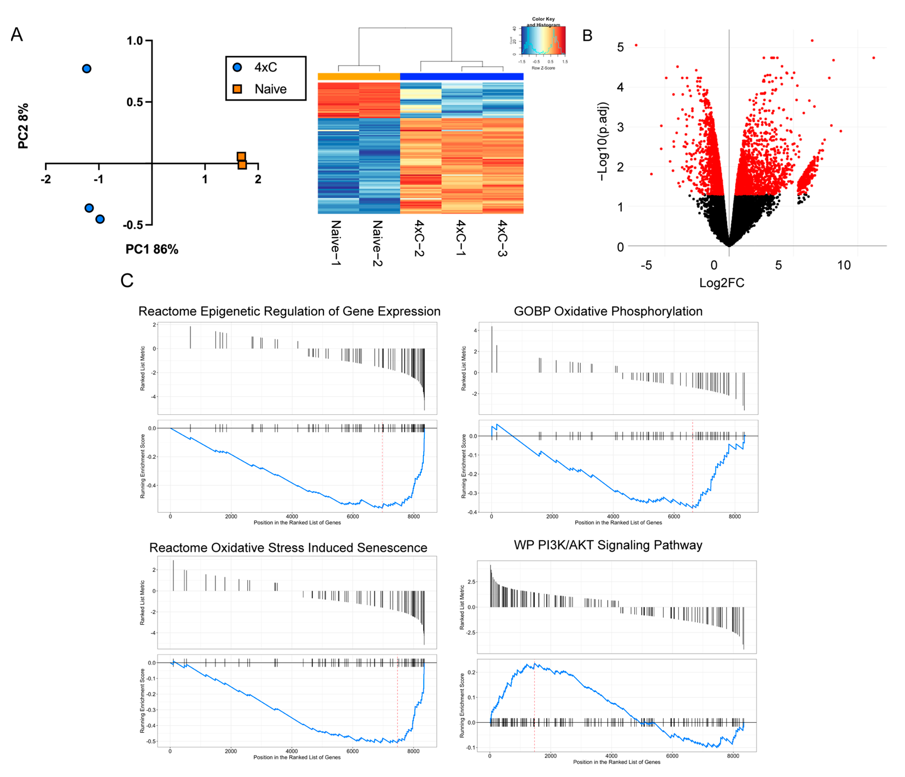 Cancers 14 04966 g002