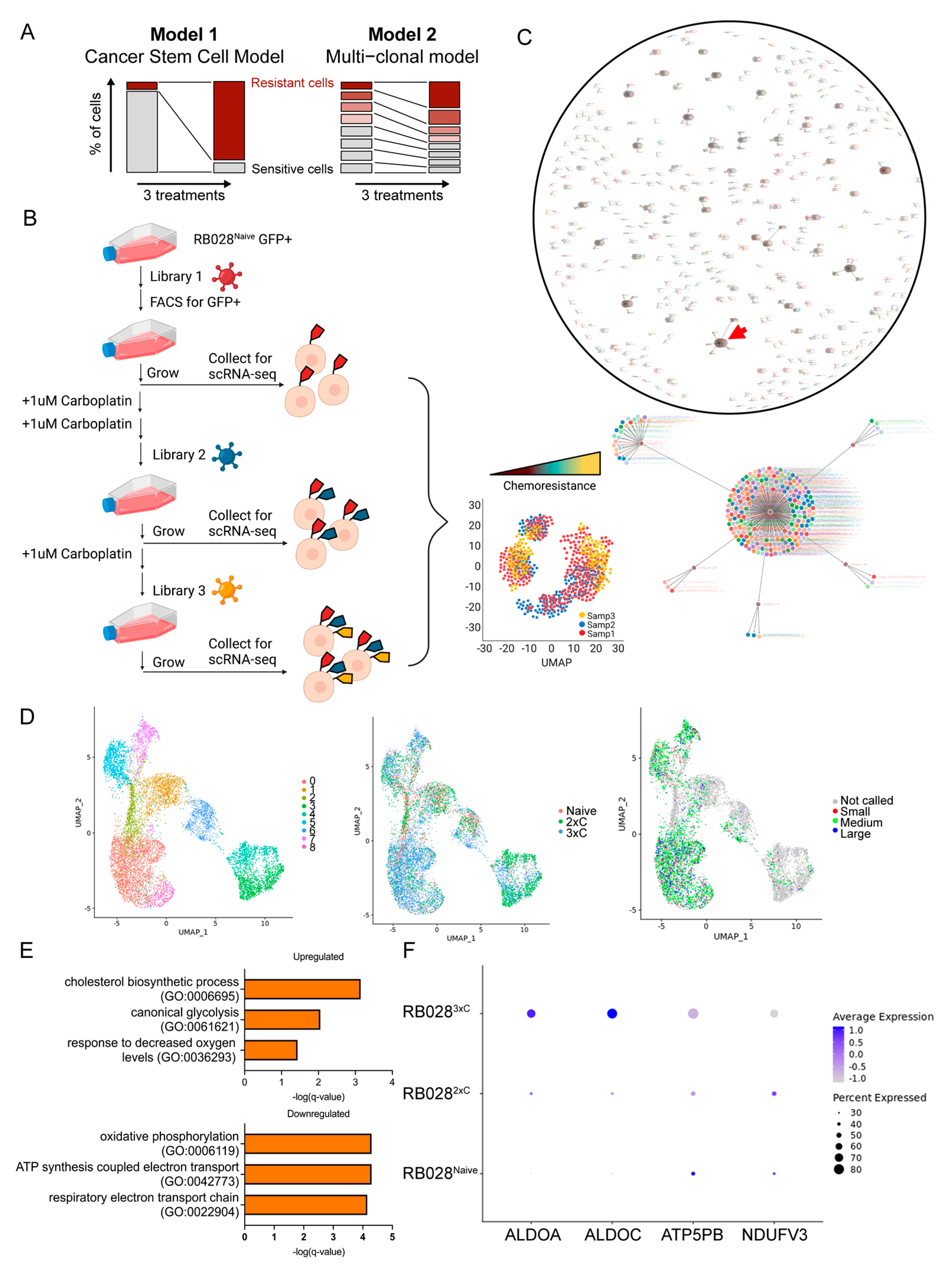 Cancers 14 04966 g003