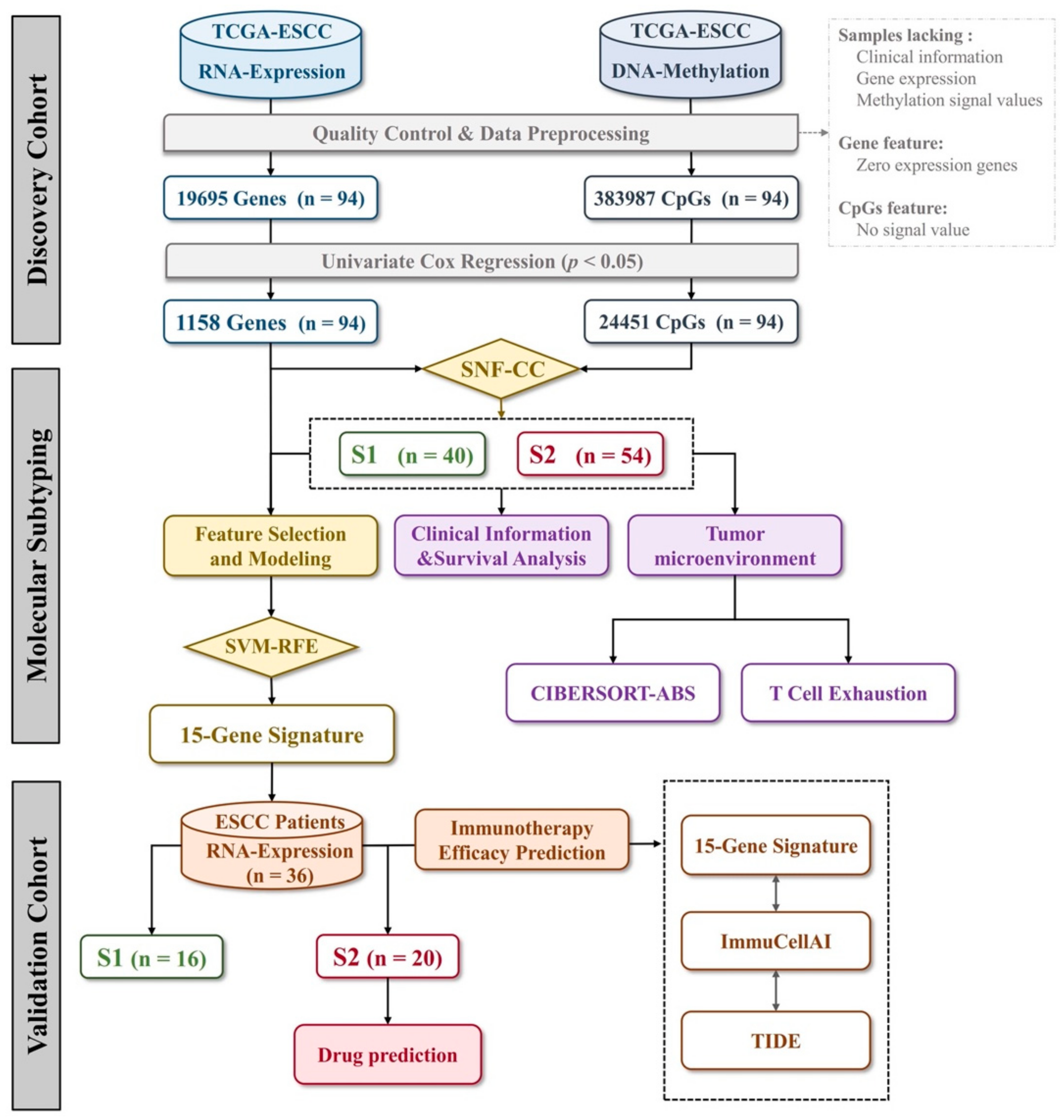 Cancers 14 04970 g001 Cancers 14 04970 g001