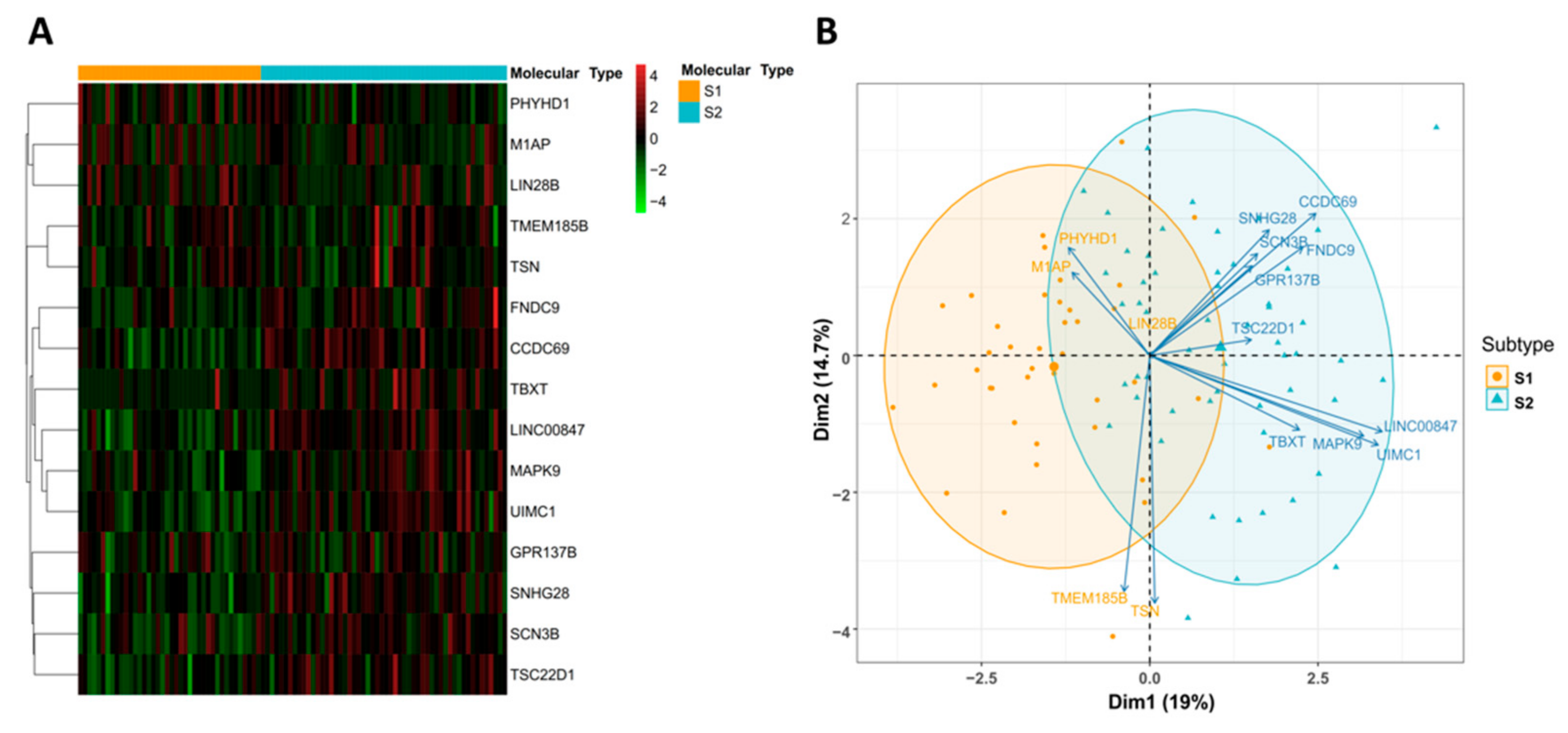 Cancers 14 04970 g005 Cancers 14 04970 g005