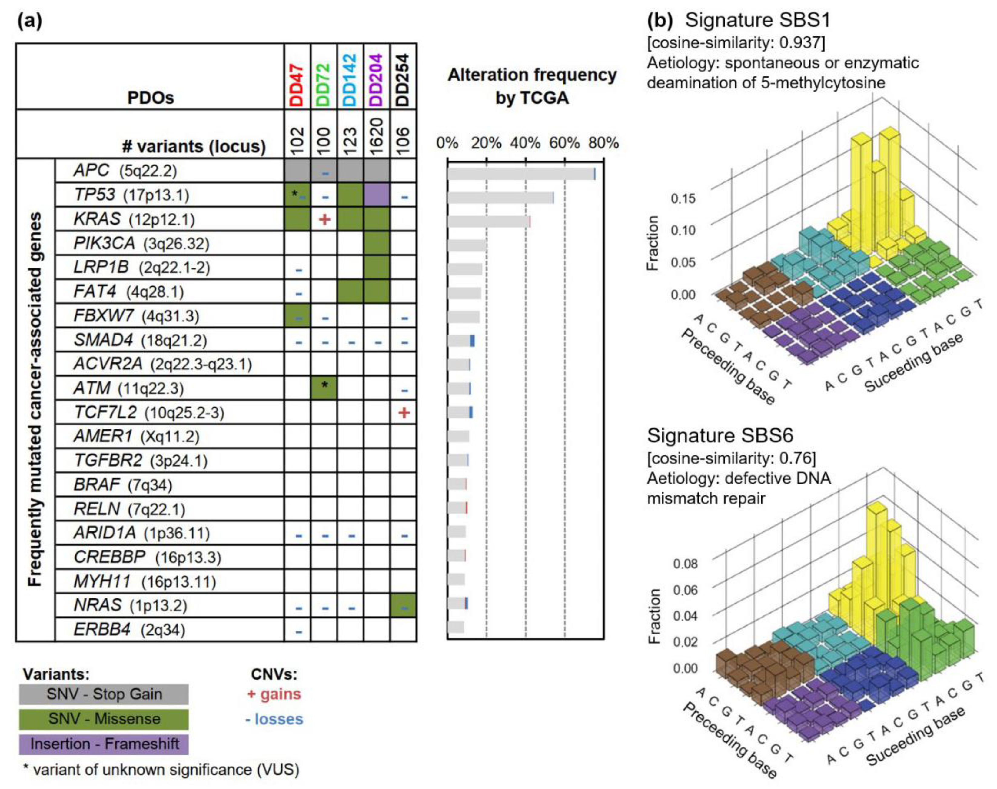 Cancers 14 04984 g001