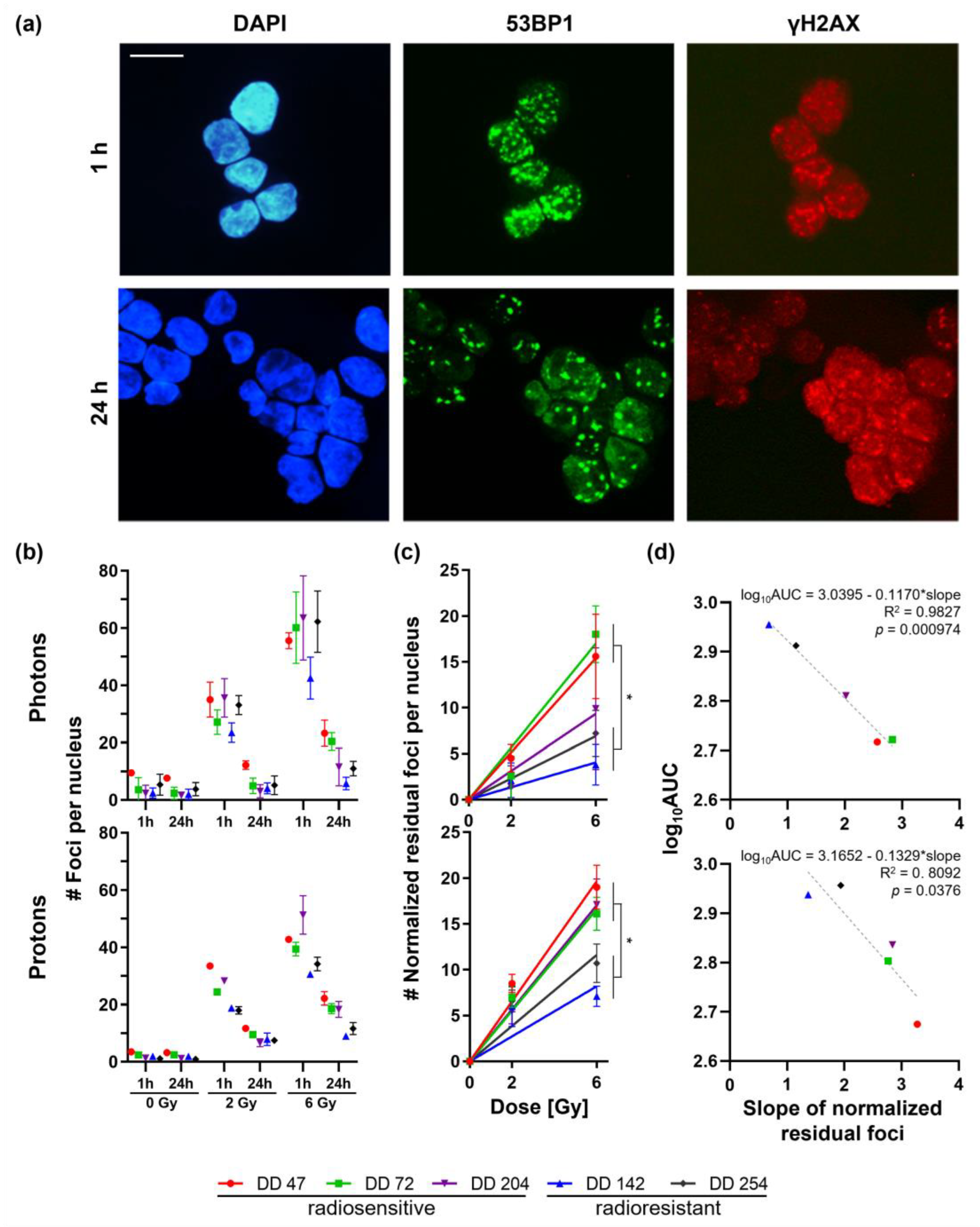 Cancers 14 04984 g003