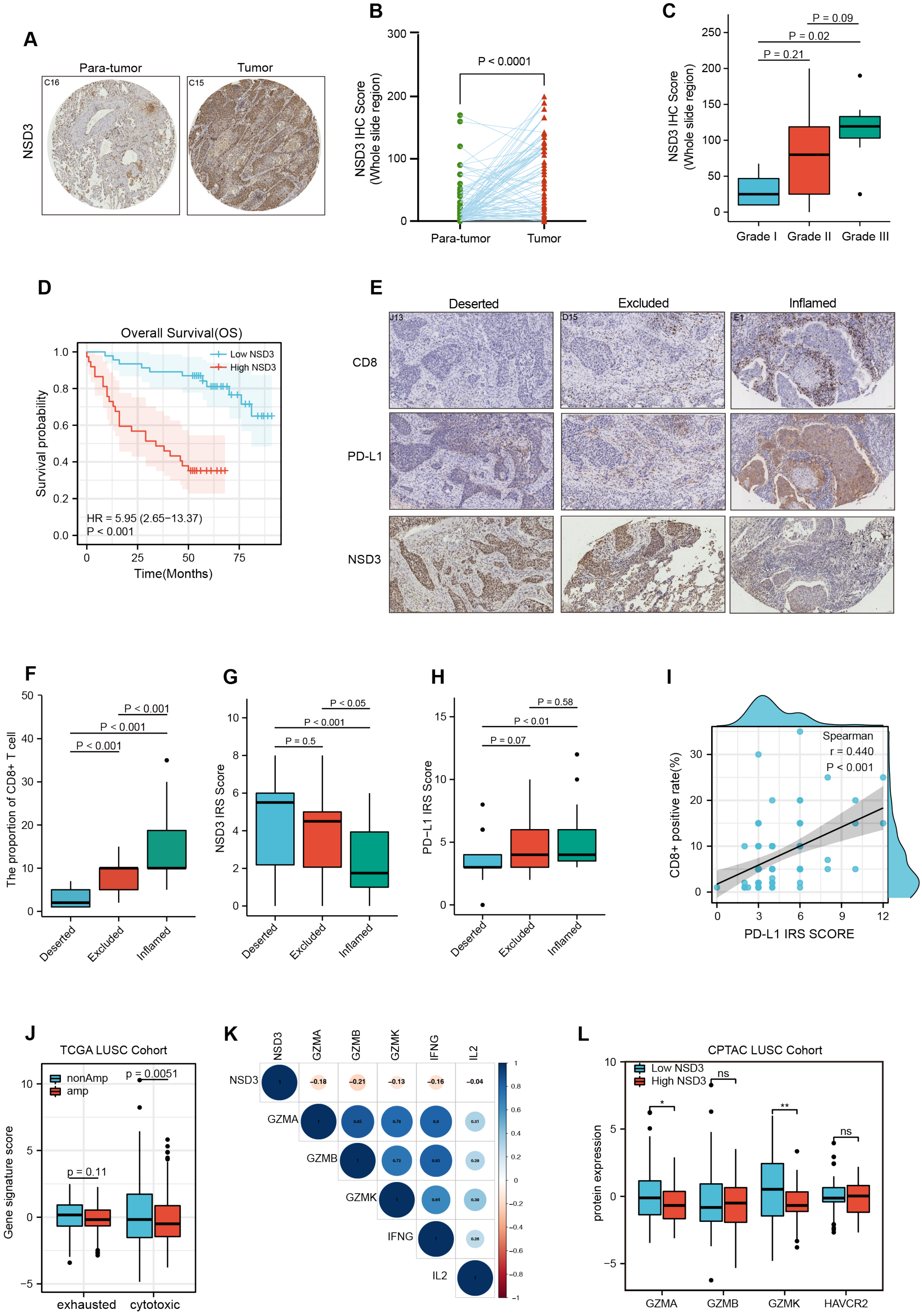 Cancers 14 04997 g004