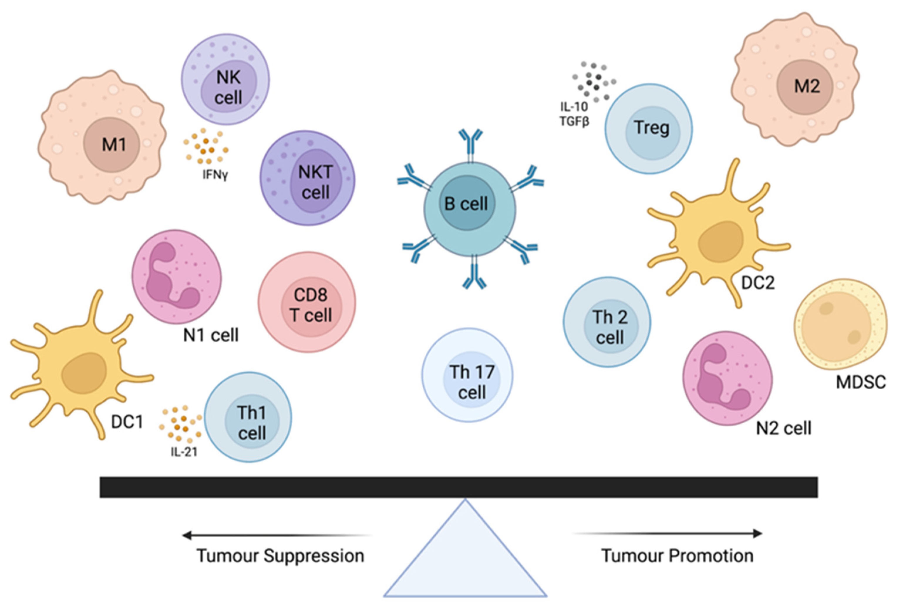 Cancers | Free Full-Text | Comparative Evaluation of Tumor-Infiltrating  Lymphocytes in Companion Animals: Immuno-Oncology as a Relevant  Translational Model for Cancer Therapy