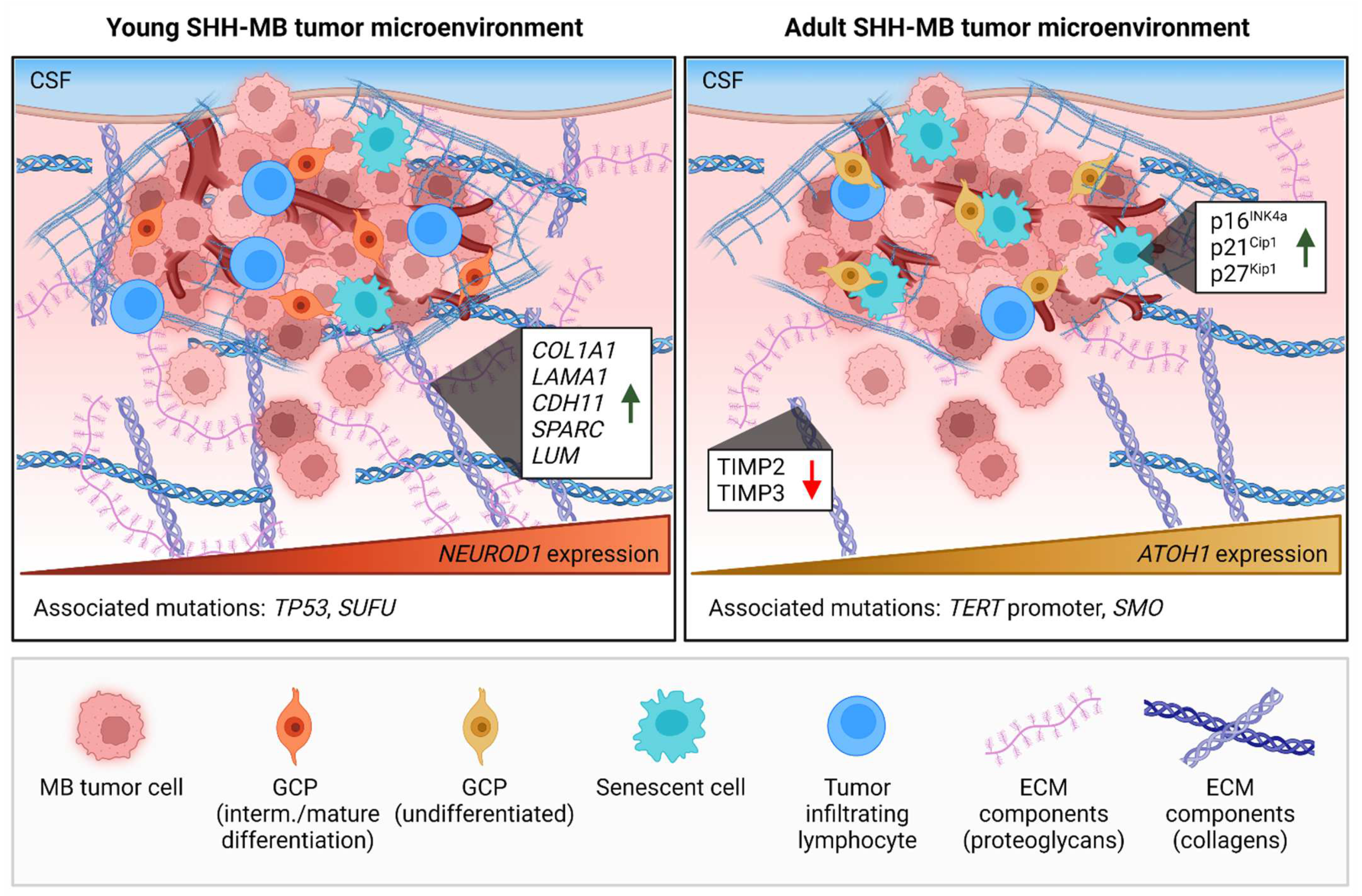 Cancers 14 05009 g002