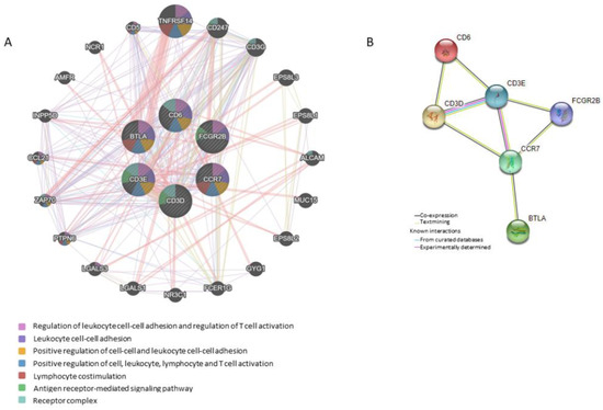 Beads on a String - Renal Fellow Network