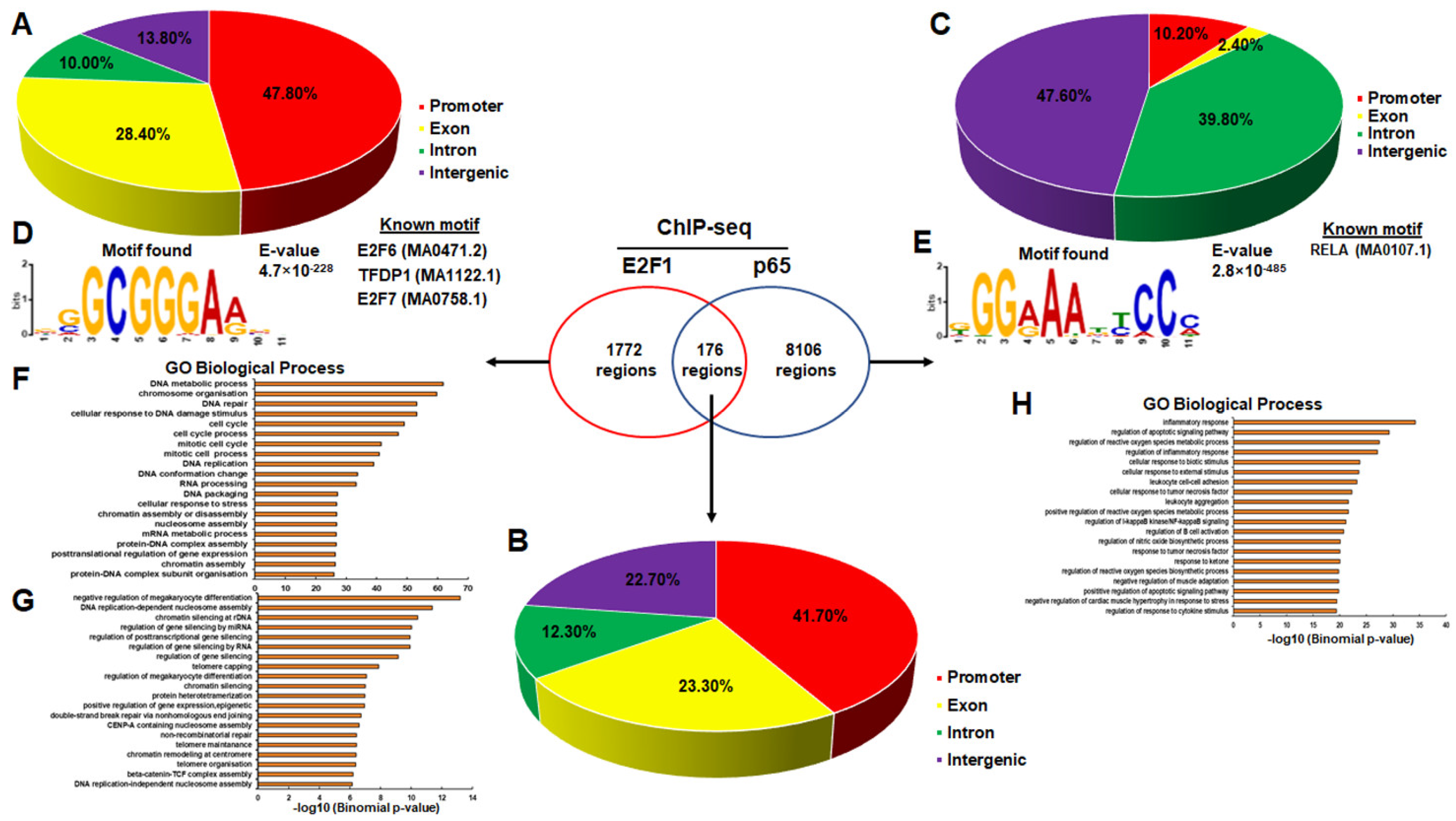 Cancers 14 05047 g002 Cancers 14 05047 g002