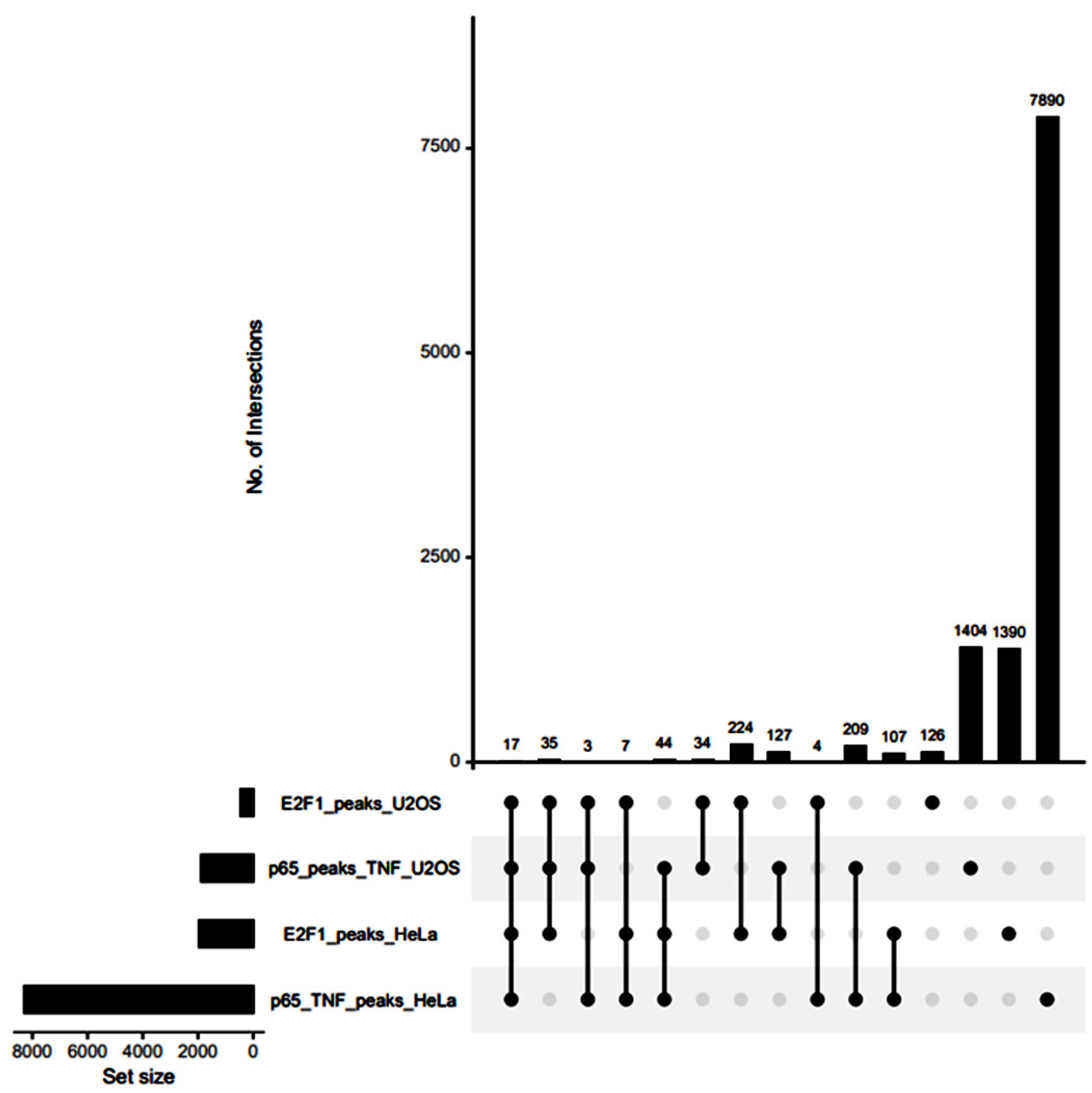 Cancers 14 05047 g005 Cancers 14 05047 g005