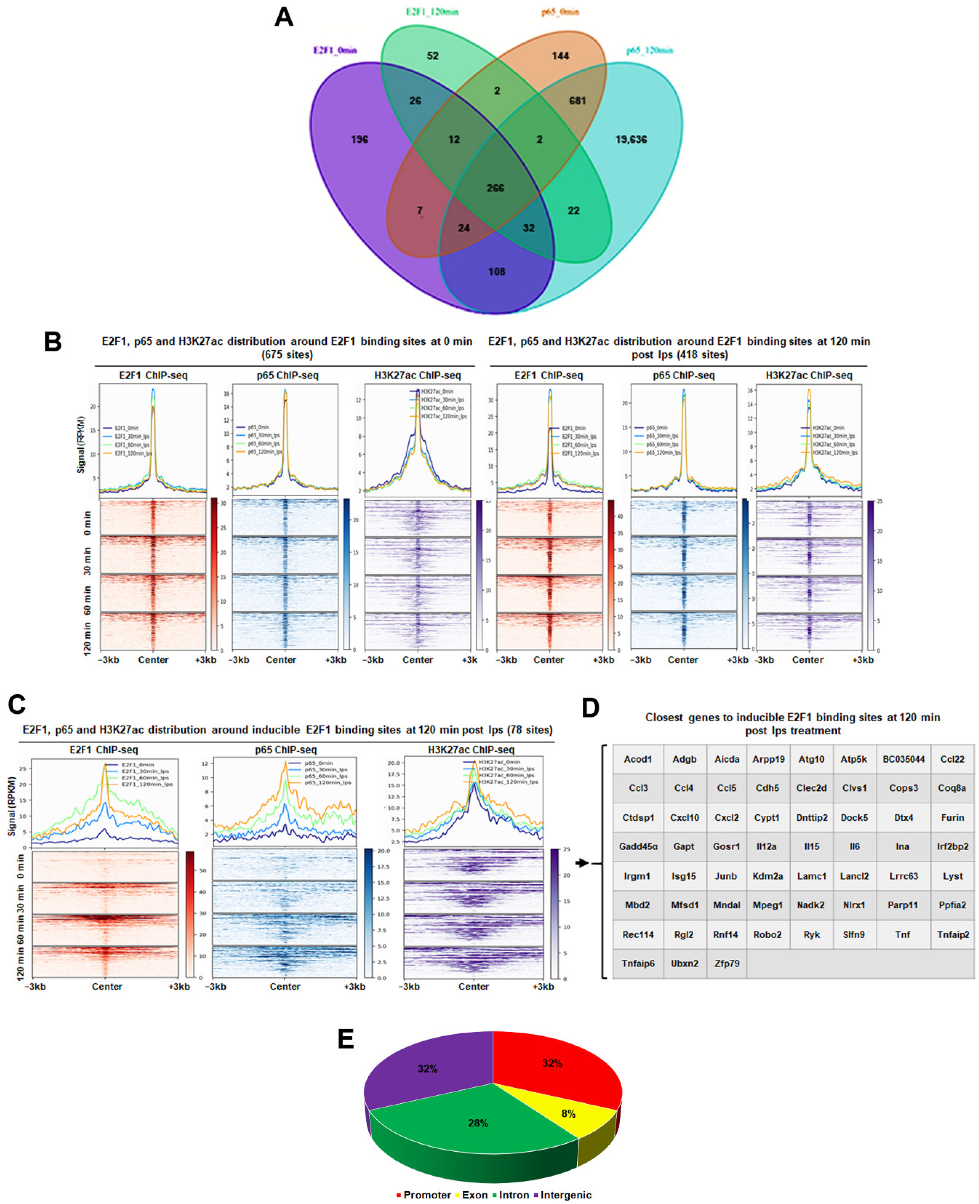 Cancers 14 05047 g006 Cancers 14 05047 g006