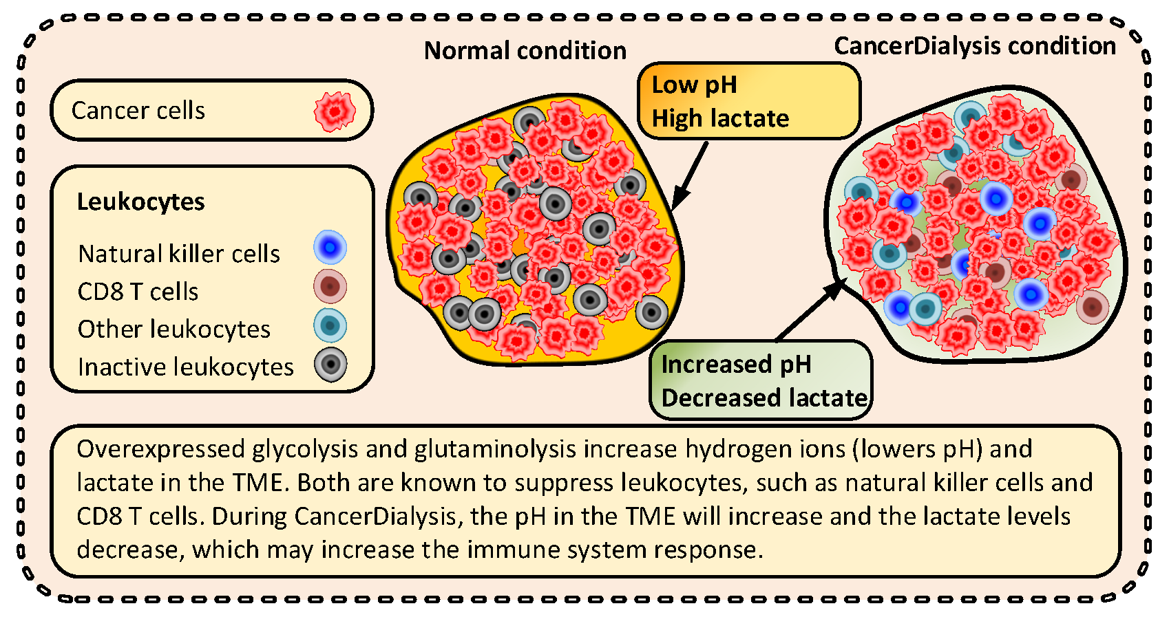 Cancers | Free Full-Text | Dialysis as a Novel Adjuvant Treatment