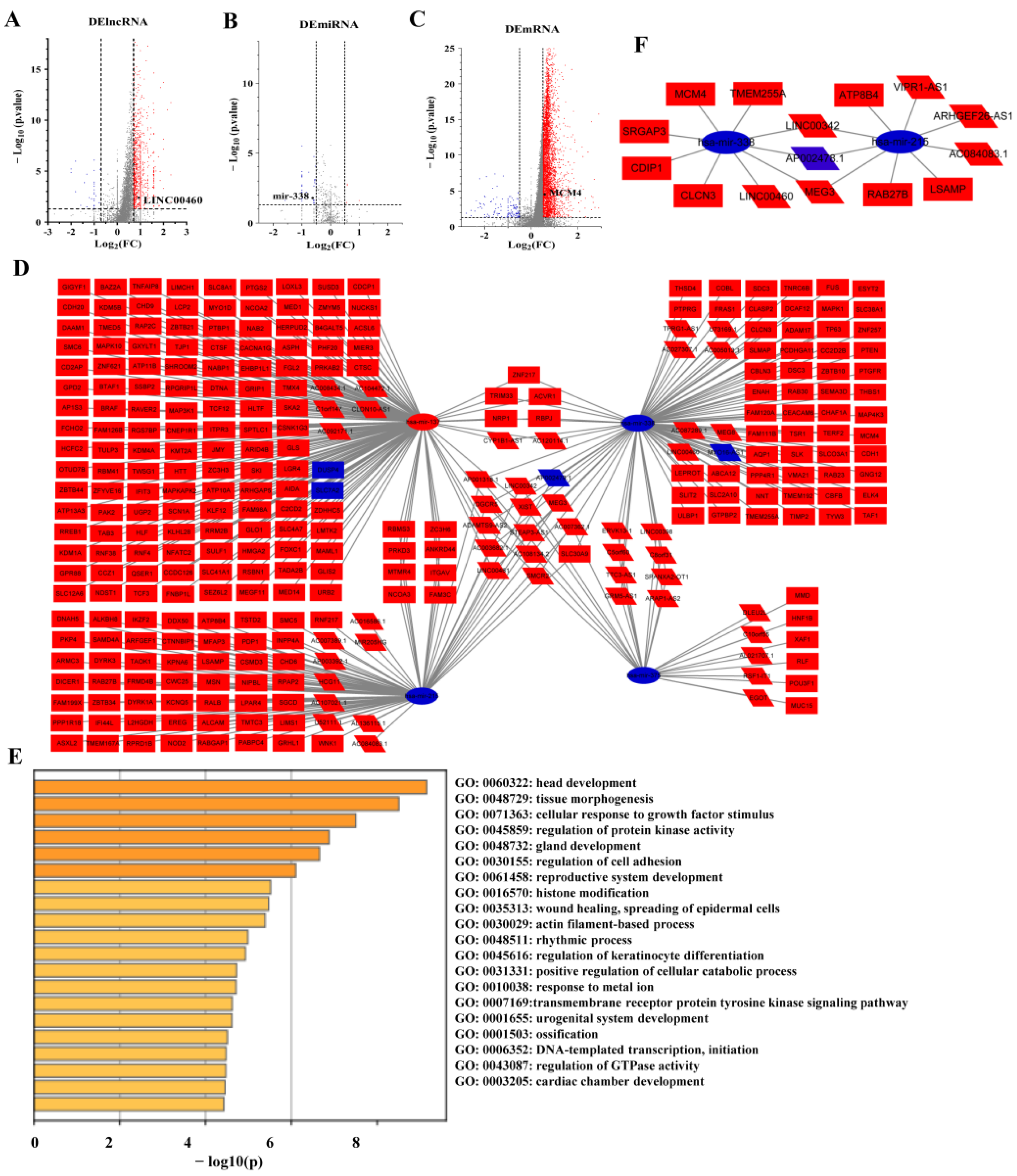 Cancers 14 05073 g002