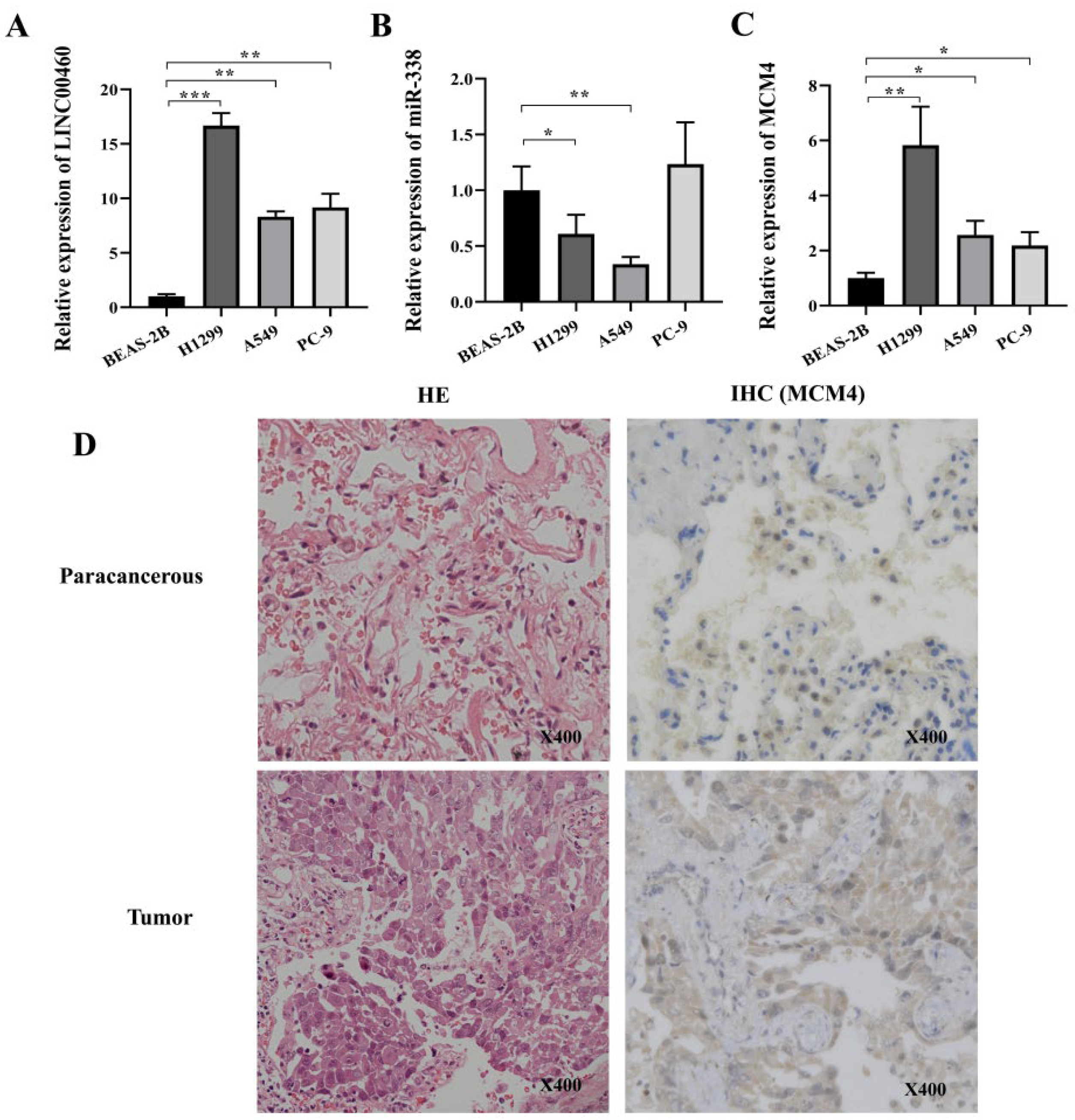 Cancers 14 05073 g006