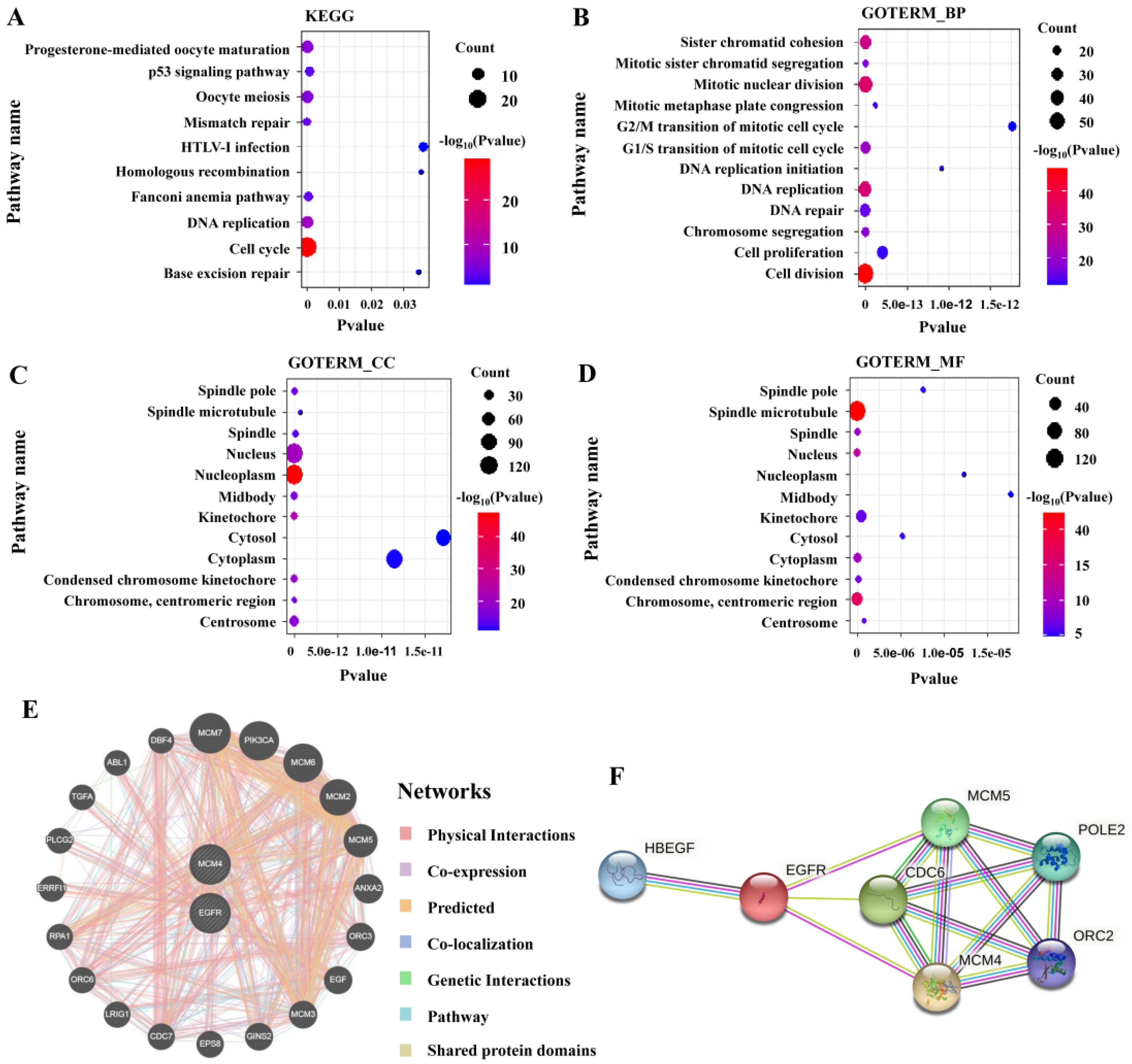 Cancers 14 05073 g007
