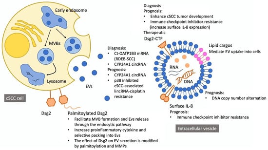 Low-coverage whole-genome sequencing of extracellular vesicle-associated  DNA in patients with metastatic cancer