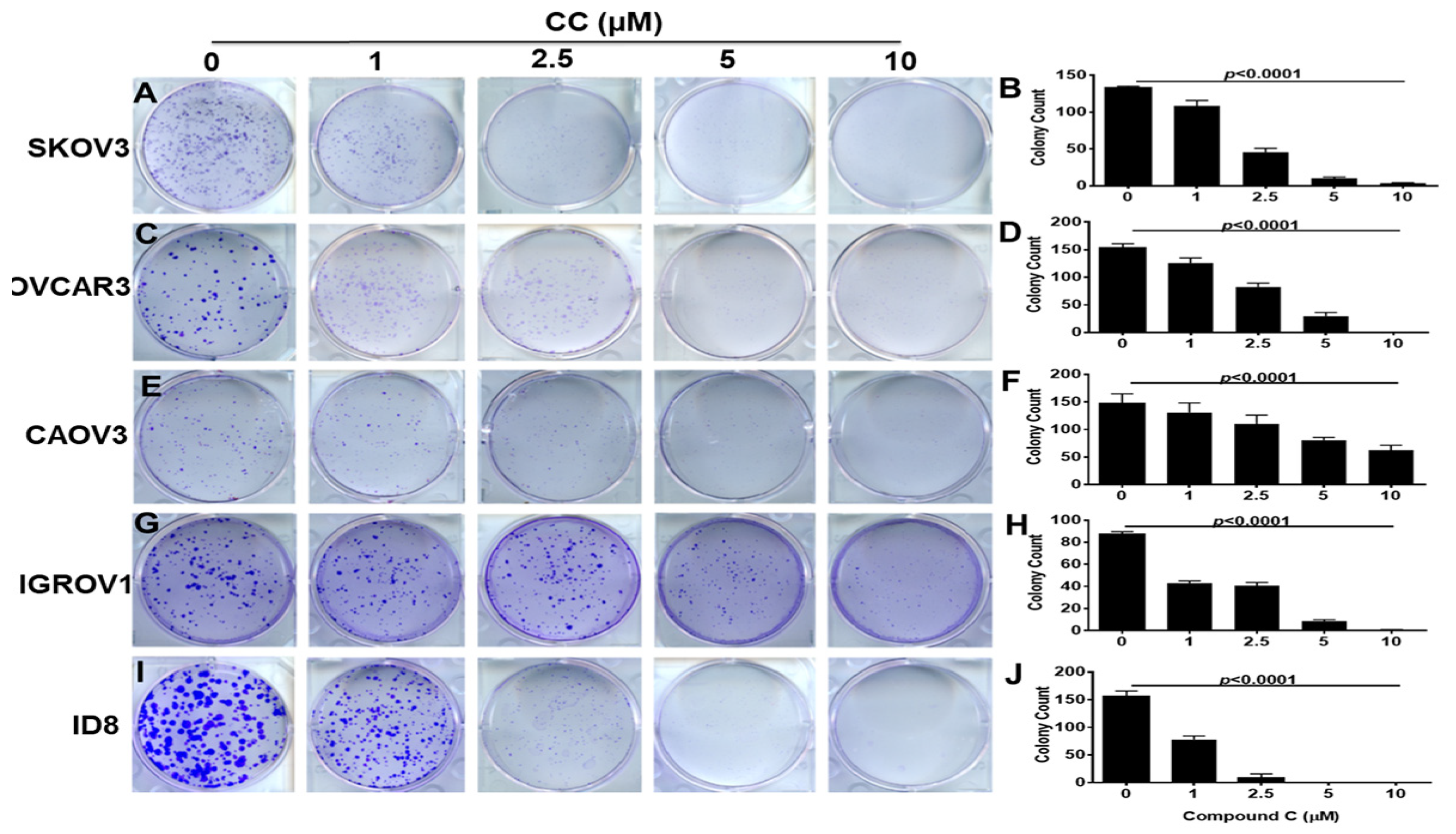 Cancers 14 05099 g002 Cancers 14 05099 g002