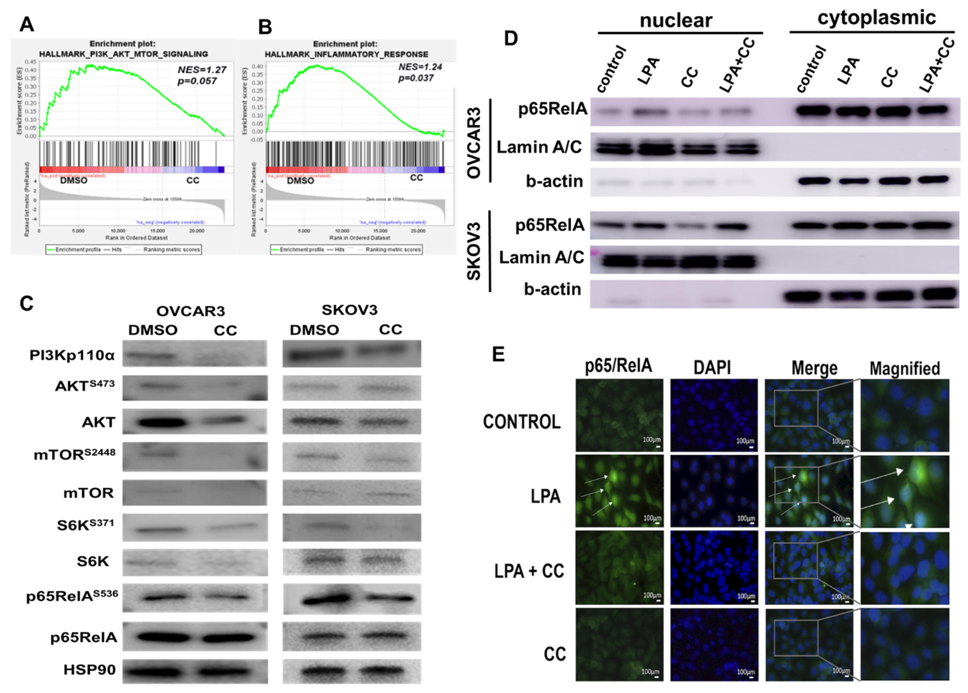 Cancers 14 05099 g004 Cancers 14 05099 g004