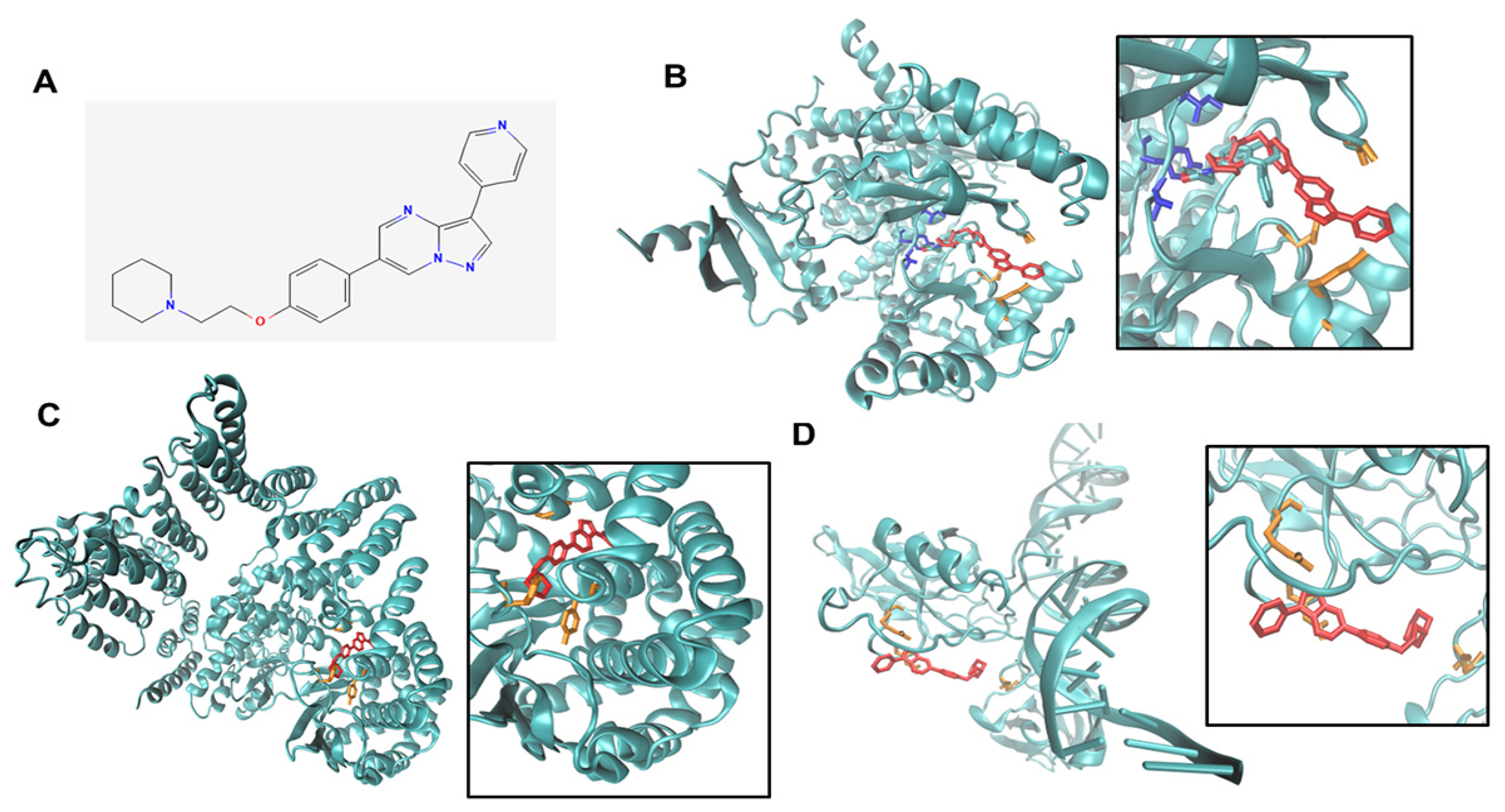 Cancers 14 05099 g005 Cancers 14 05099 g005