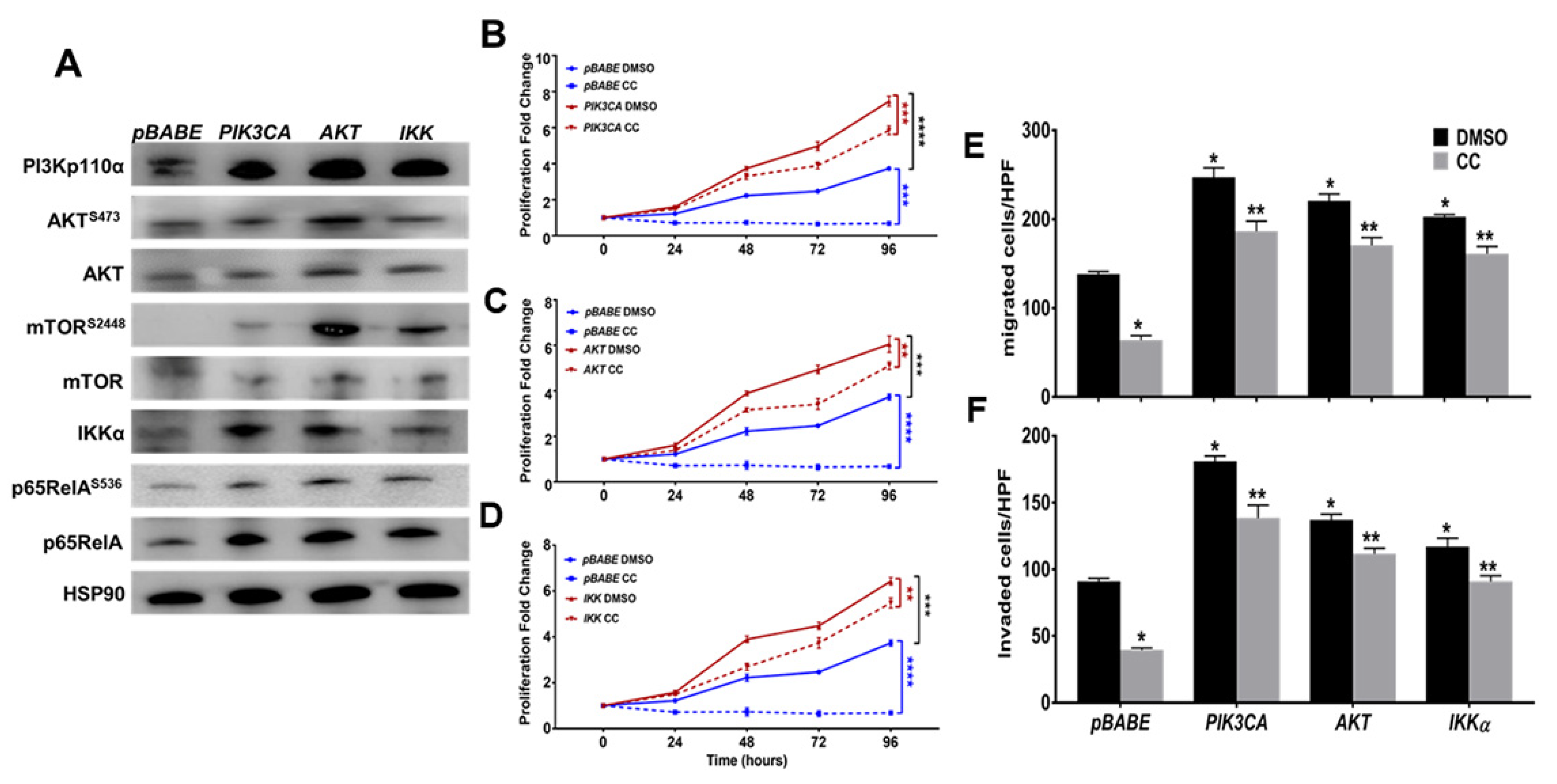 Cancers 14 05099 g006 Cancers 14 05099 g006