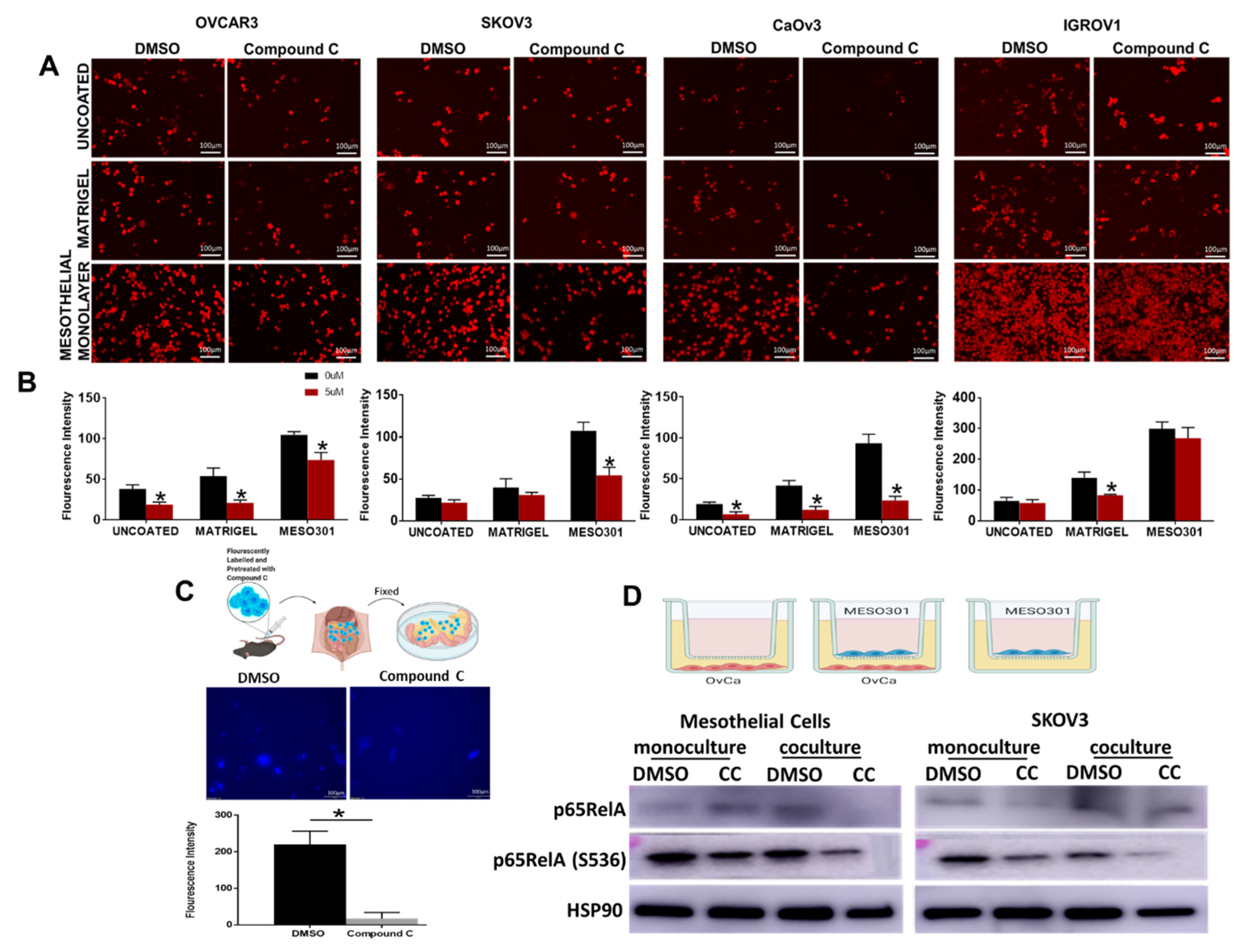 Cancers 14 05099 g007 Cancers 14 05099 g007