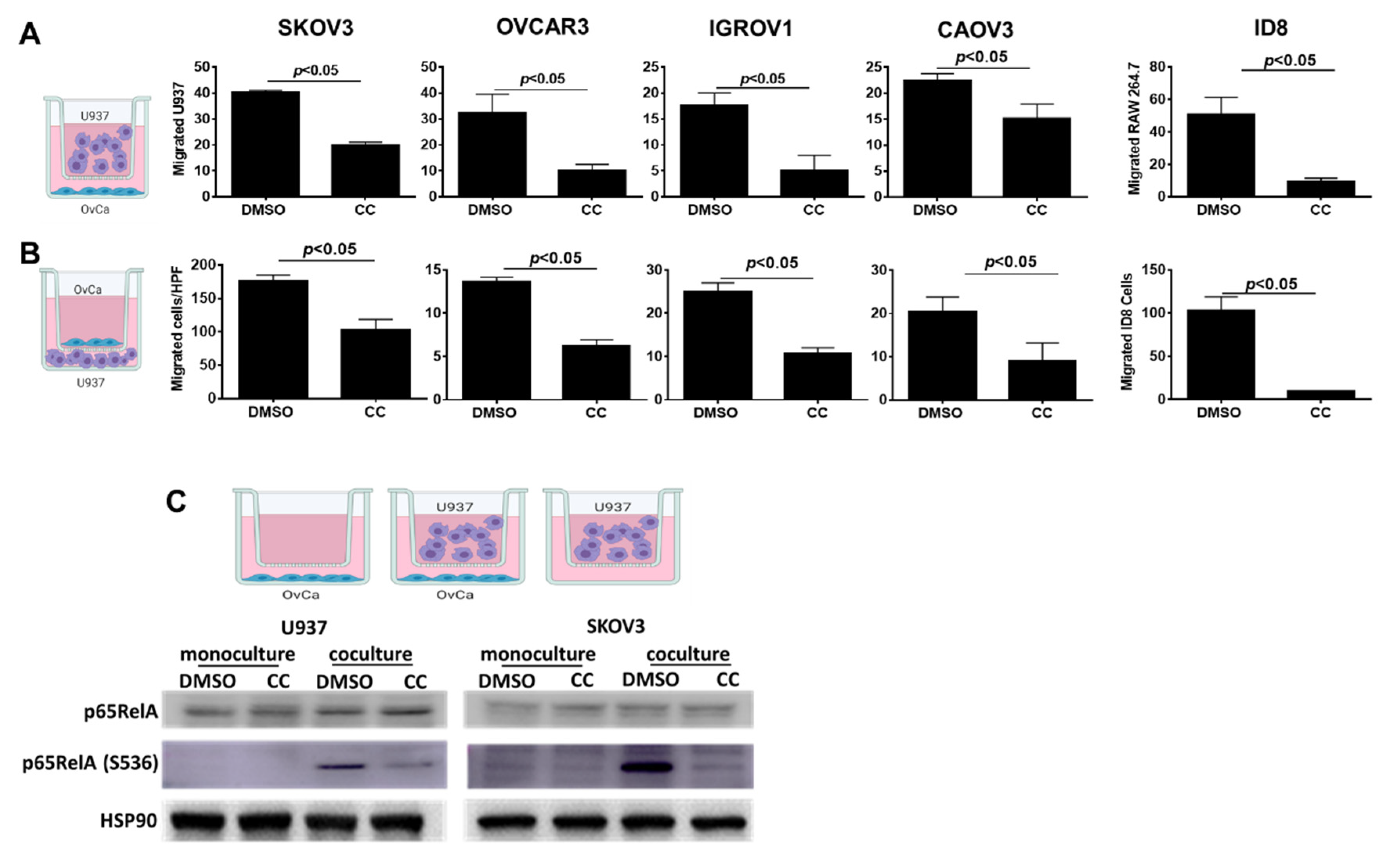 Cancers 14 05099 g008 Cancers 14 05099 g008