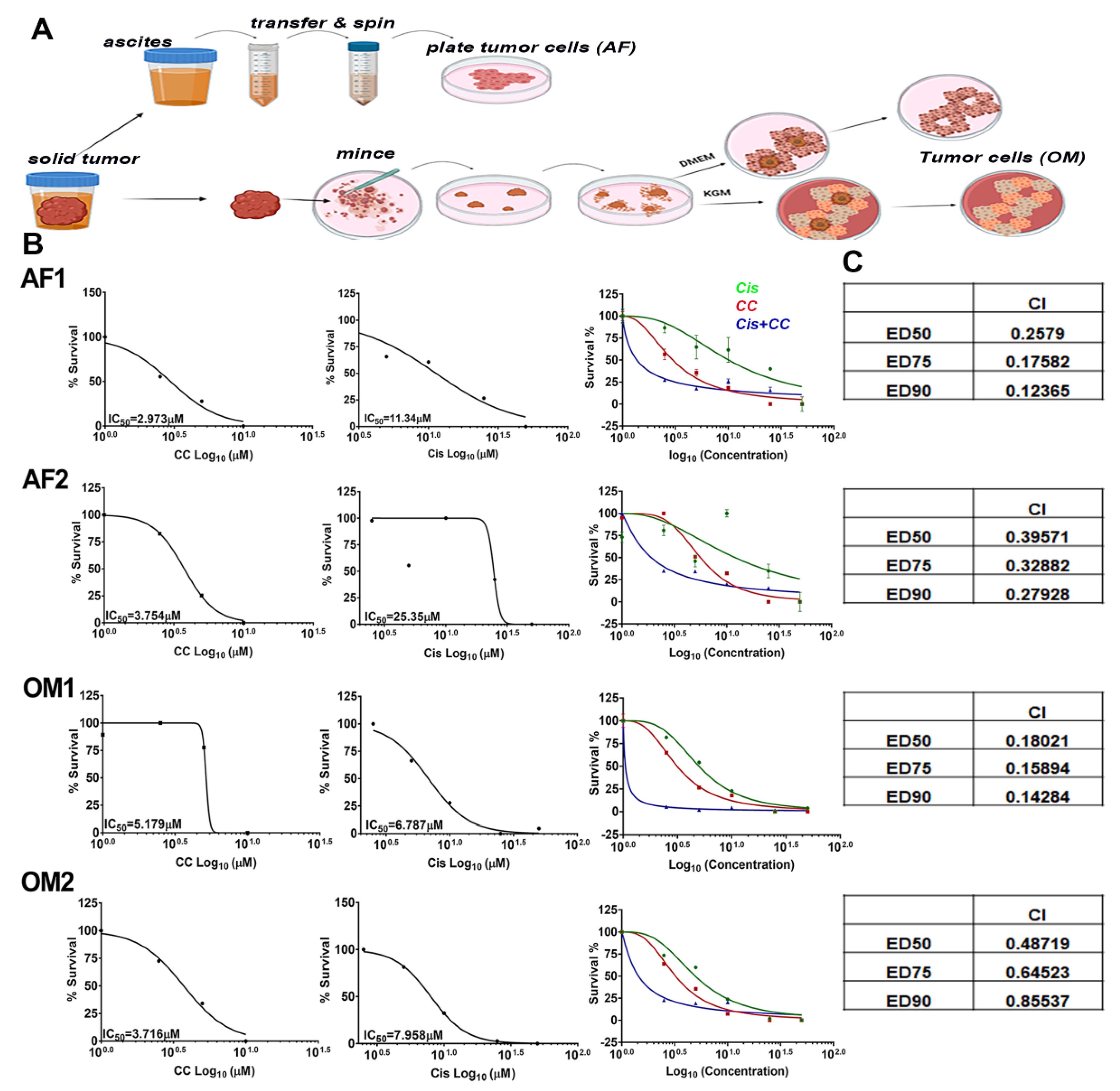 Cancers 14 05099 g012 Cancers 14 05099 g012