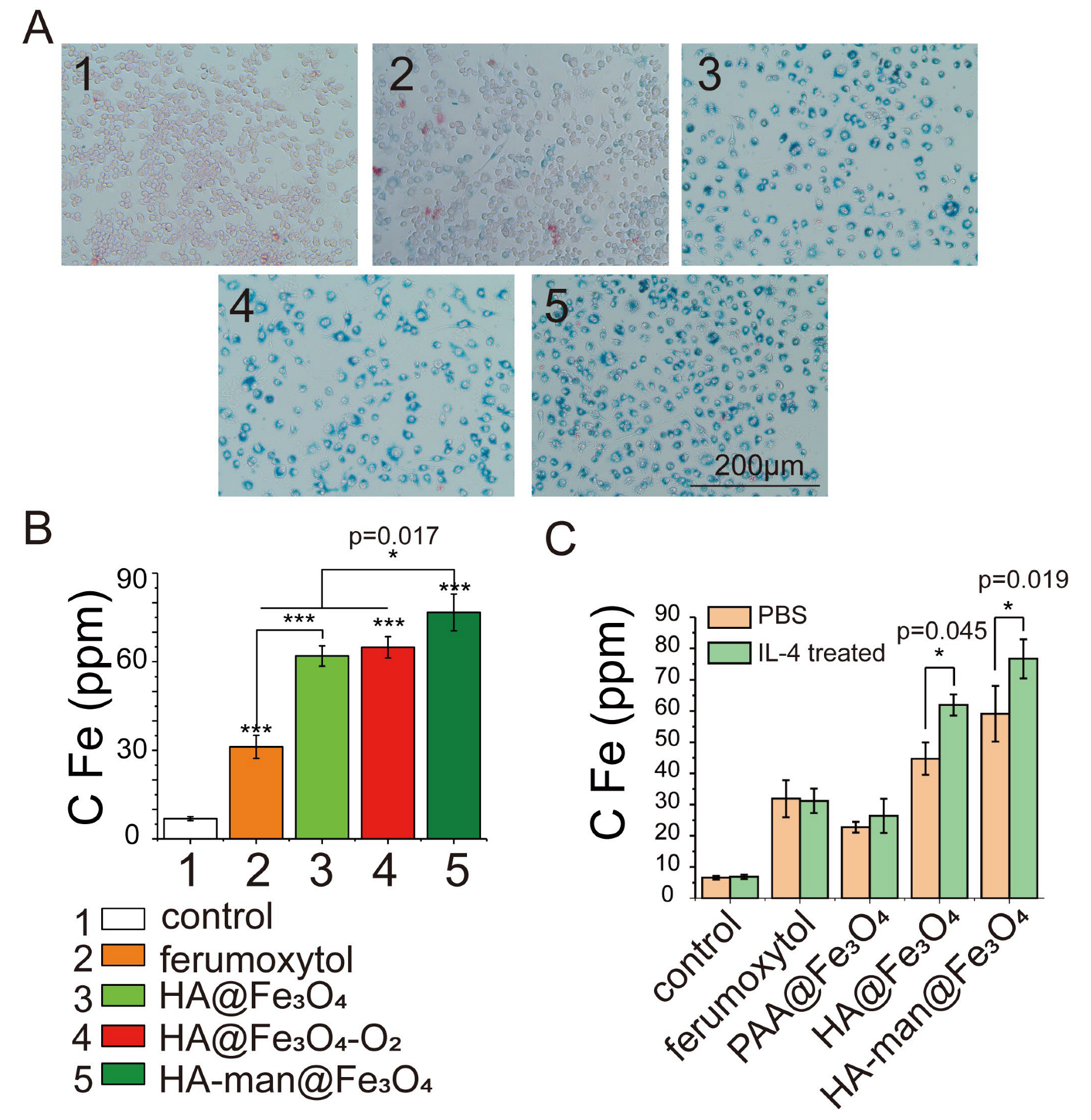 Cancers 14 05107 g002