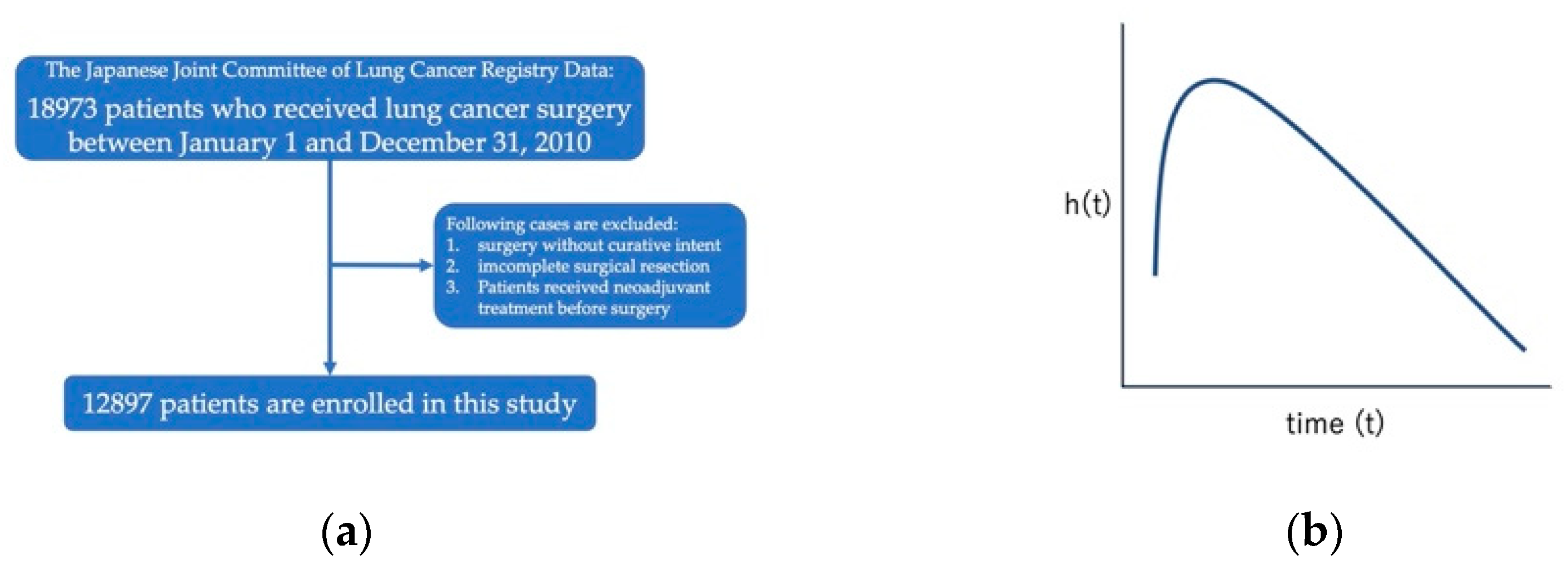 Cancers 14 05119 g001 Cancers 14 05119 g001